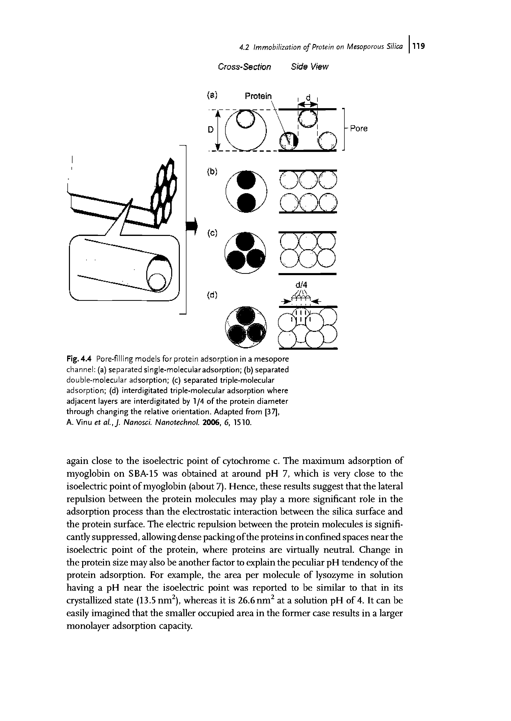 Fig. 4.4 Pore-filling models for protein adsorption in a mesopore channel (a) separated single-molecularadsorption (b) separated double-molecular adsorption (c) separated triple-molecular adsorption (d) interdigitated triple-molecular adsorption where adjacent layers are interdigitated by 1/4 of the protein diameter through changing the relative orientation. Adapted from [37],...