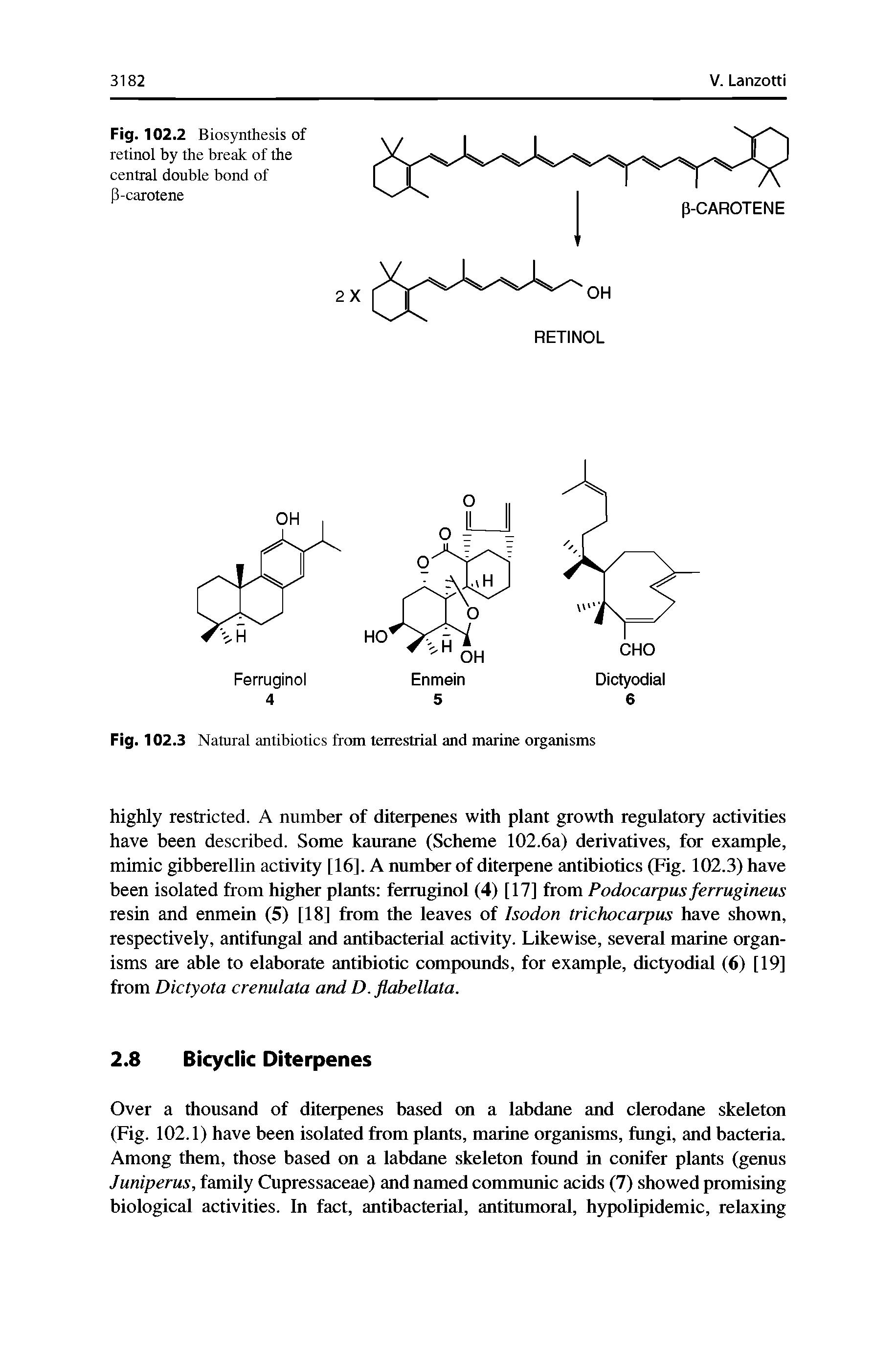 Fig. 102.2 Biosynthesis of retinol by the break of the central double bond of P-carotene...