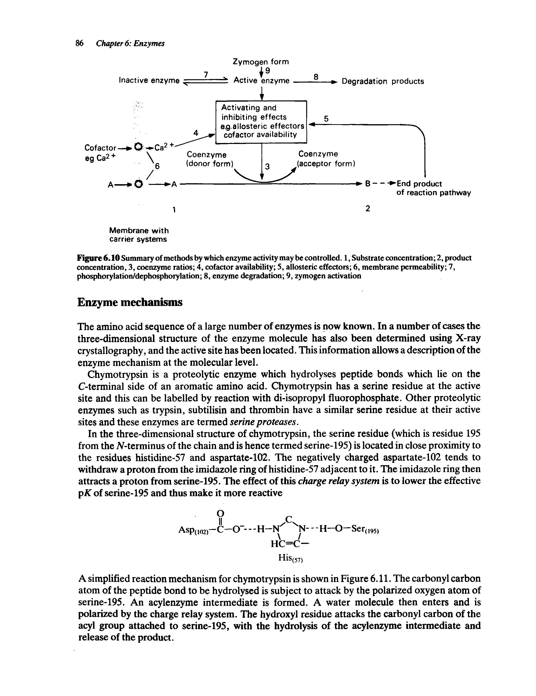 Figure 6.10 Summaiy of methods by which enzyme activity may be controlled. 1, Substrate concentration 2, product concentration, 3, coenzyme ratios 4, cofactor availability S, allosteric effectors 6, membrane permeability 7, phosphorylation/dephosphorylation 8, enzyme degradation 9, zymogen activation...