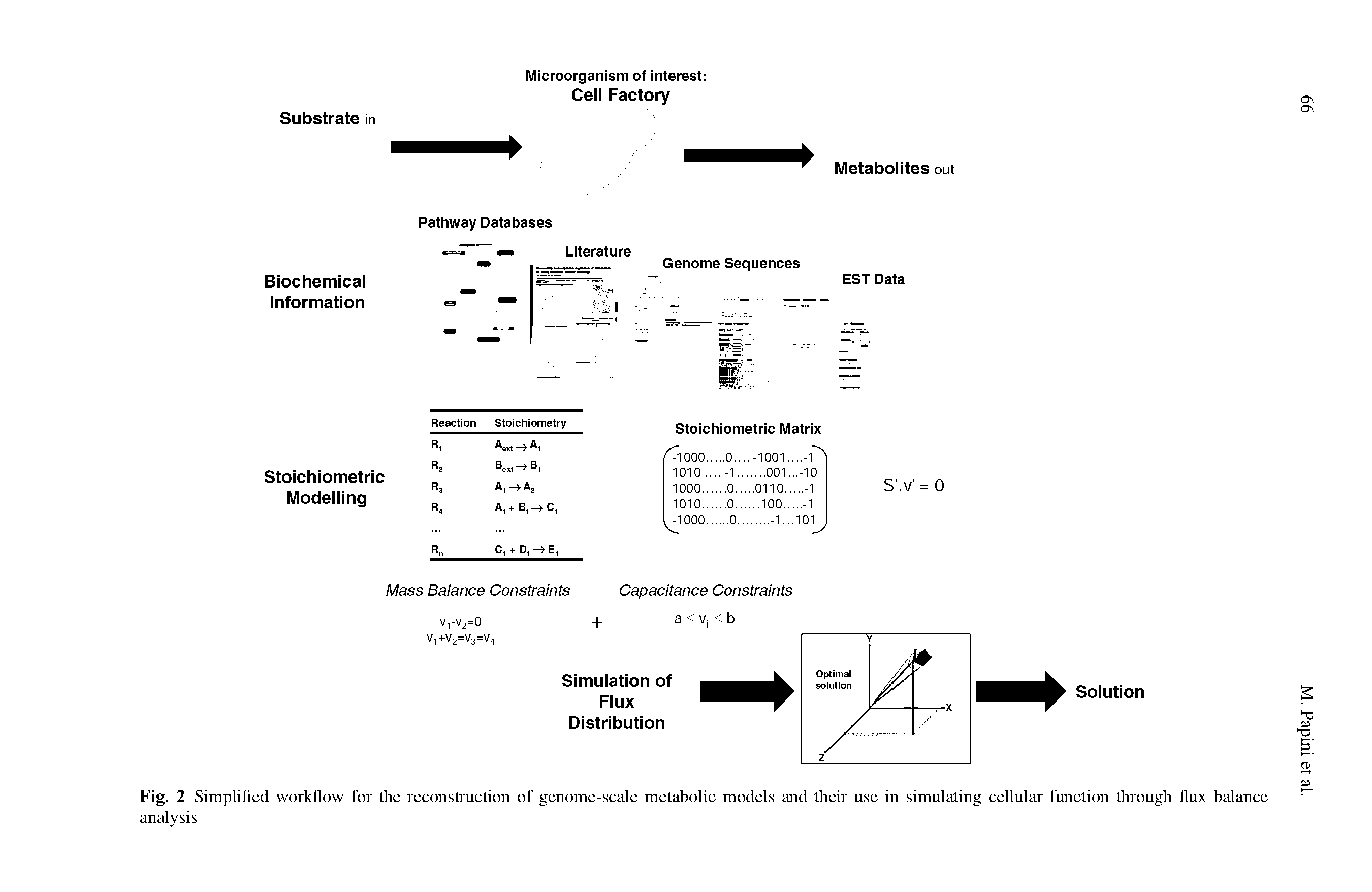 Fig. 2 Simplified workflow for the reconstruction of genome-scale metabolic models and their use in simulating cellular function through flux balance analysis...