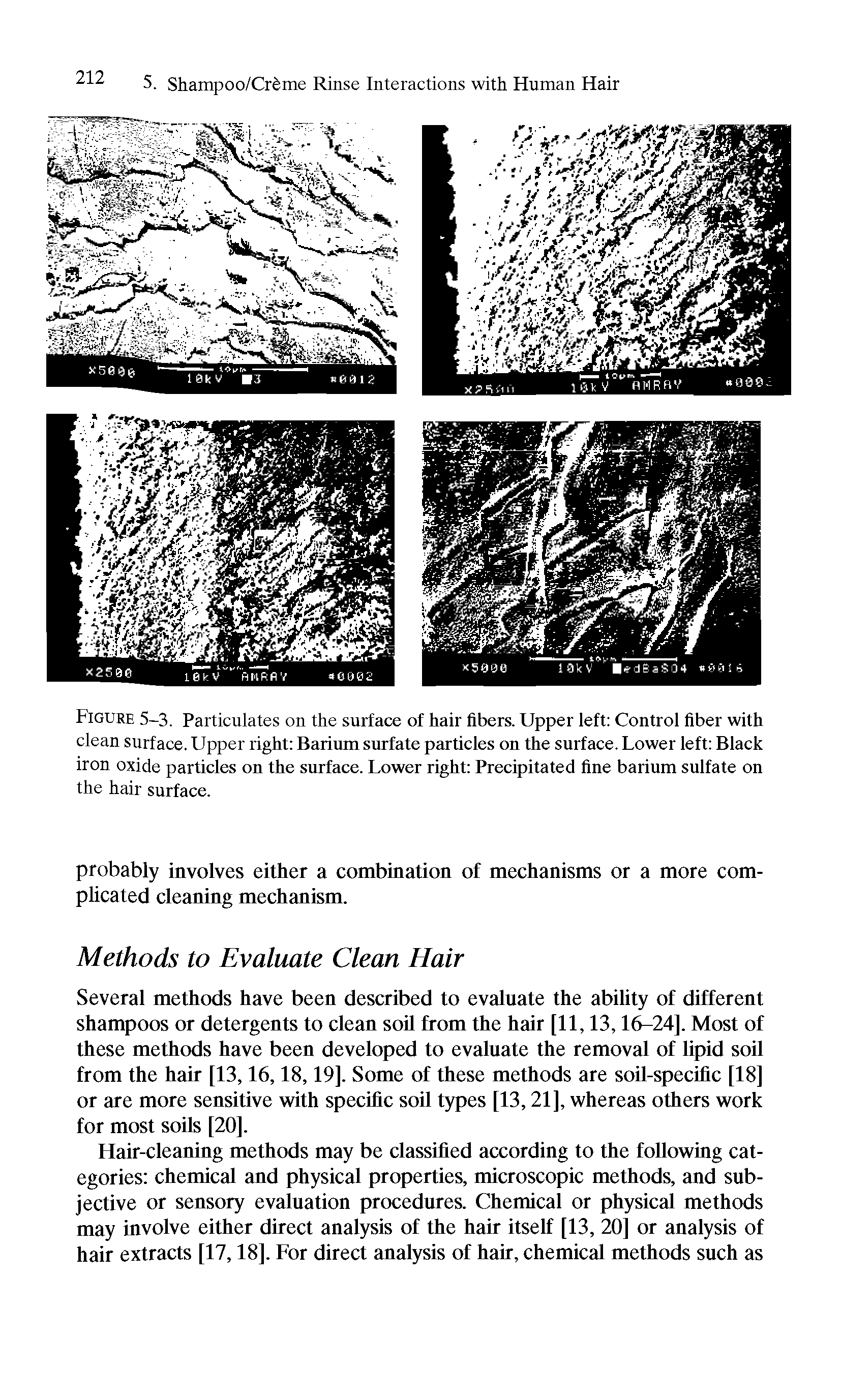 Figure 5-3. Particulates on the surface of hair fibers. Upper left Control fiber with clean surface. Upper right Barium surfate particles on the snrface. Lower left Black iron oxide particles on the surface. Lower right Precipitated fine barinm snlfate on the hair surface.