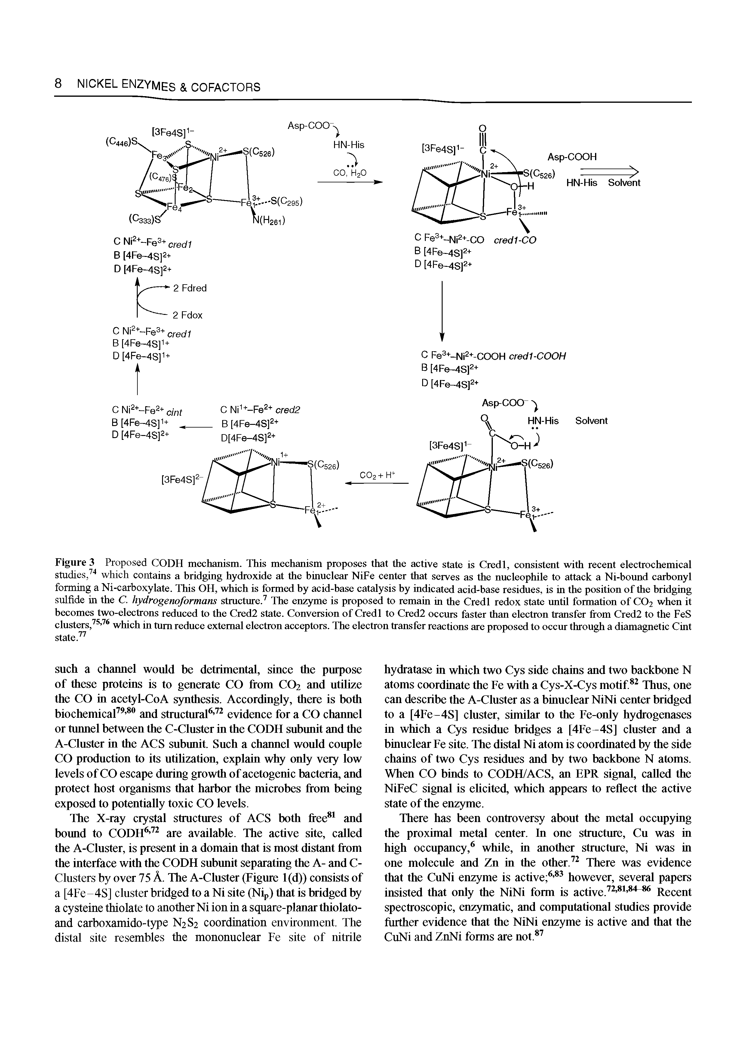 Figure 3 Proposed CODH mechanism. This mechanism proposes that the active state is Credl, consistent with recent electrochemical studies,which contains a hridghig hydroxide at the hinuclear NiFe center that serves as the nucleophile to attack a Ni-bound carbonyl forming a Ni-carboxylate. This OH, which is formed by acid-hase catalysis by indicated acid-base residues, is in the position of the bridging sulfide in the C. hydrogenoformans structure. The enzyme is proposed to remain in the Credl redox state until formation of CO2 when it becomes two-electrons reduced to the Cred2 state. Conversion of Credl to Cred2 occurs faster than electron transfer from Cred2 to the FeS clusters, which in turn reduce external electron acceptors. The electron transfer reactions are proposed to occur through a diamagnetic Cint state. ...