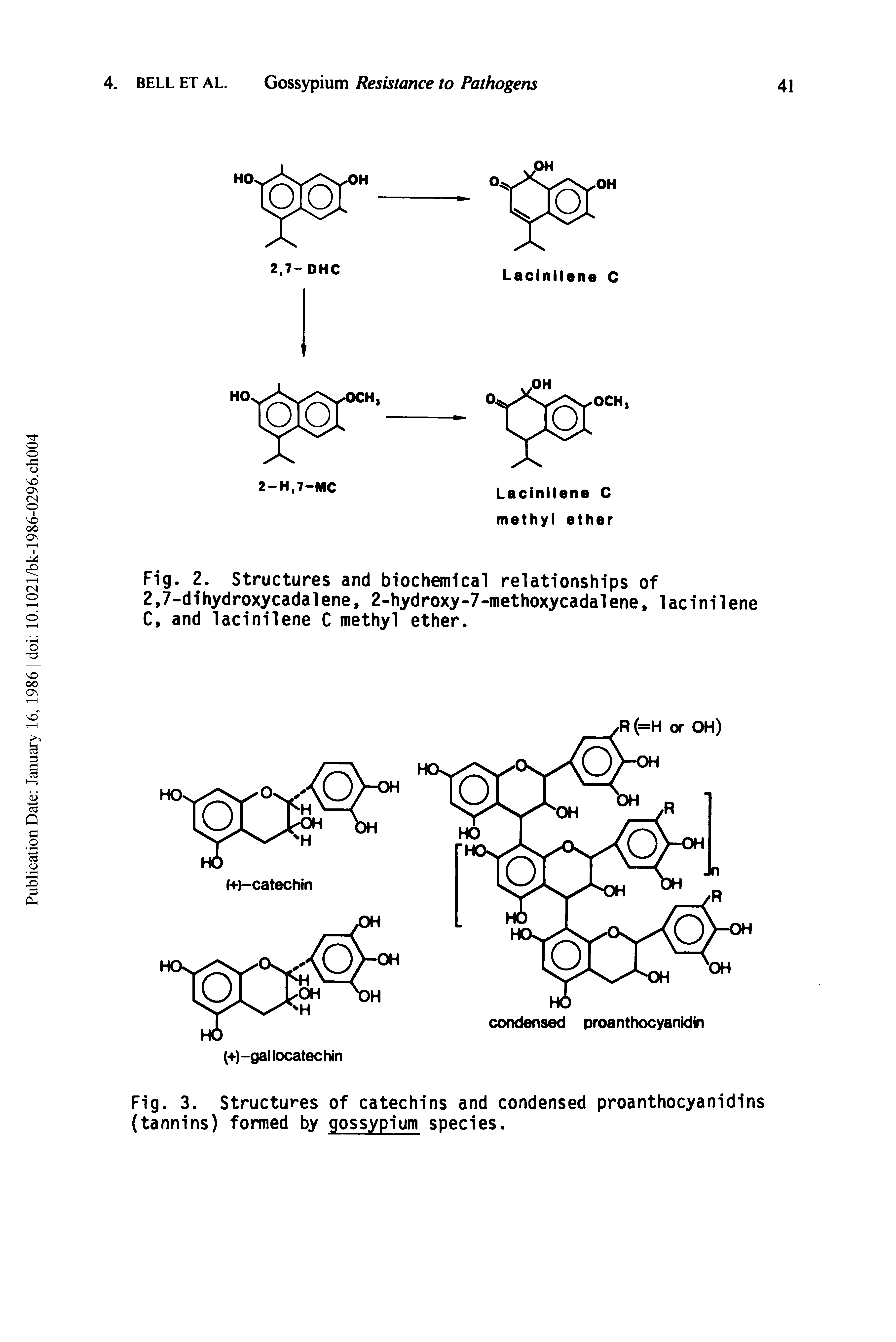 Fig. 3. Structures of catechins and condensed proanthocyanidins (tannins) formed by gossypium species.