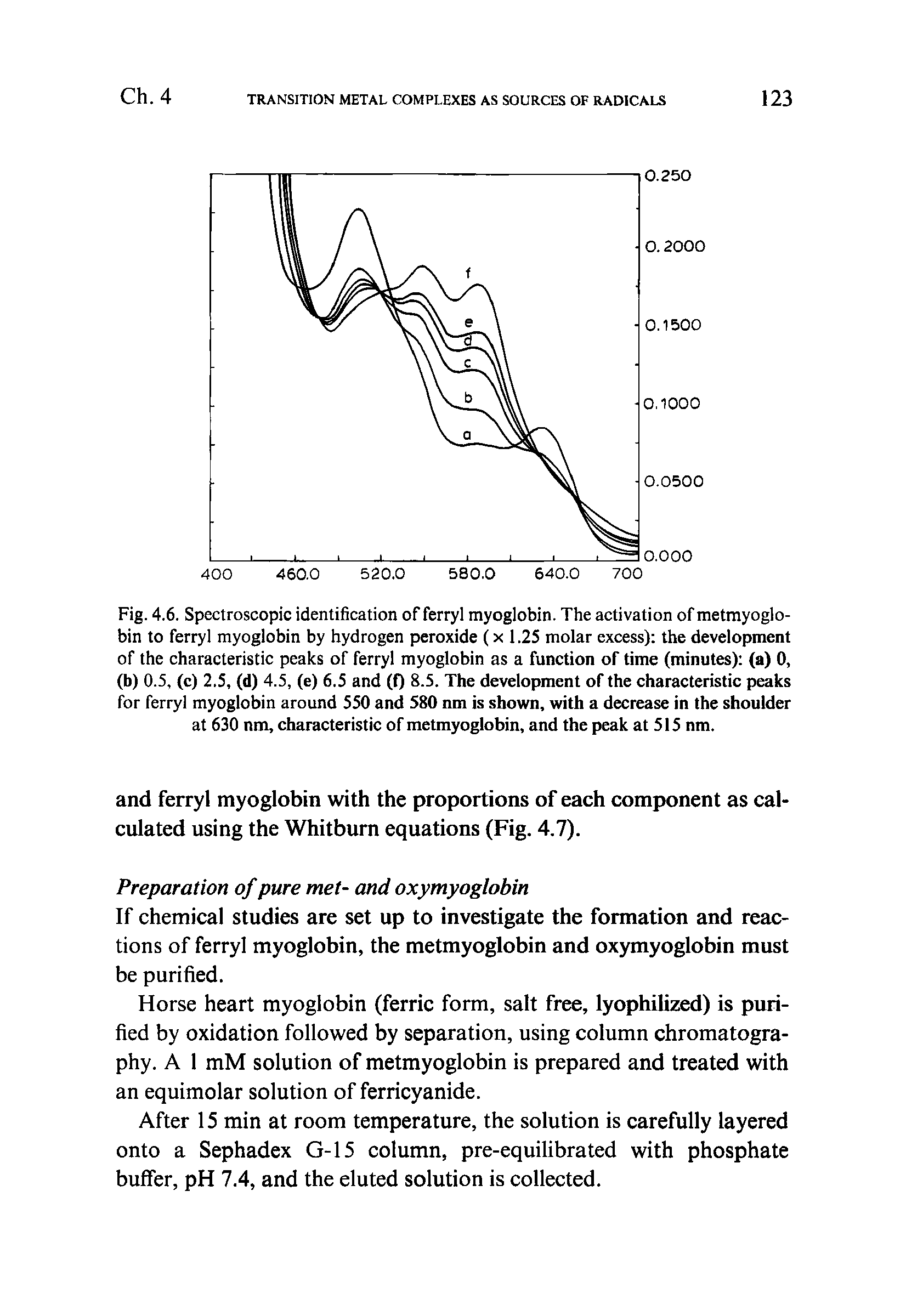 Fig. 4.6. Spectroscopic identification of ferryl myoglobin. The activation of metmyoglo-bin to ferryl myoglobin by hydrogen peroxide (x 1.25 molar excess) the development of the characteristic peaks of ferryl myoglobin as a function of time (minutes) (a) 0, (b) 0.5, (c) 2.5, (d) 4.5, (e) 6.5 and (0 8-5. The development of the characteristic peaks for ferryl myoglobin around 550 and 580 nm is shown, with a decrease in the shoulder at 630 nm, characteristic of metmyoglobin, and the peak at 515 nm.