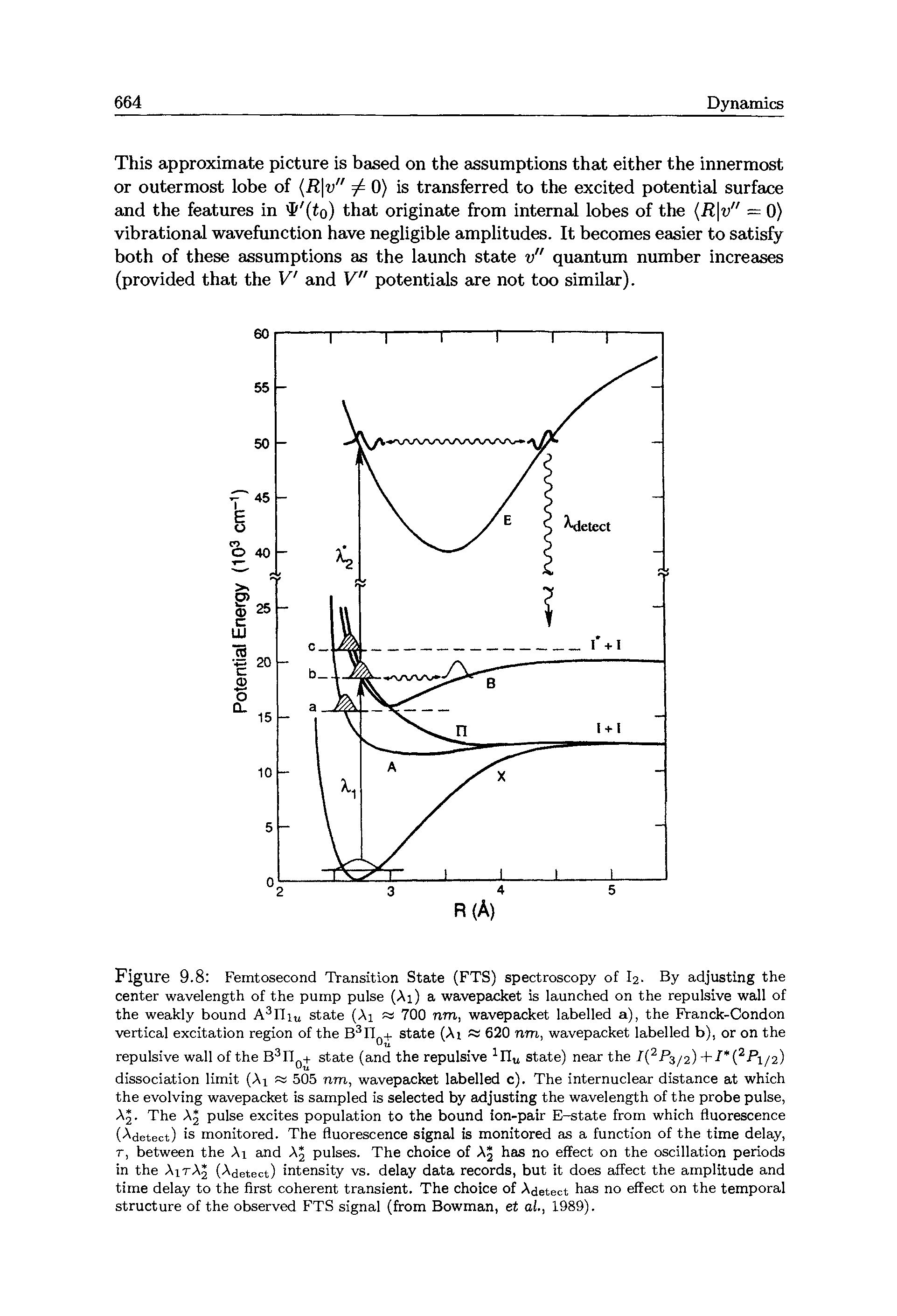 Figure 9.8 Femtosecond Transition State (FTS) spectroscopy of I2. By adjusting the center wavelength of the pump pulse (Ai) a wavepacket is launched on the repulsive wall of the weakly bound A3Ifiu state (Ai 700 nm, wavepacket labelled a), the Franck-Condon vertical excitation region of the B3If + state (Ai 620 nm, wavepacket labelled b), or on the repulsive wall of the B3If0+ state (and the repulsive 1Ifu state) near the I(2 P3/2) +1 P1/2)...