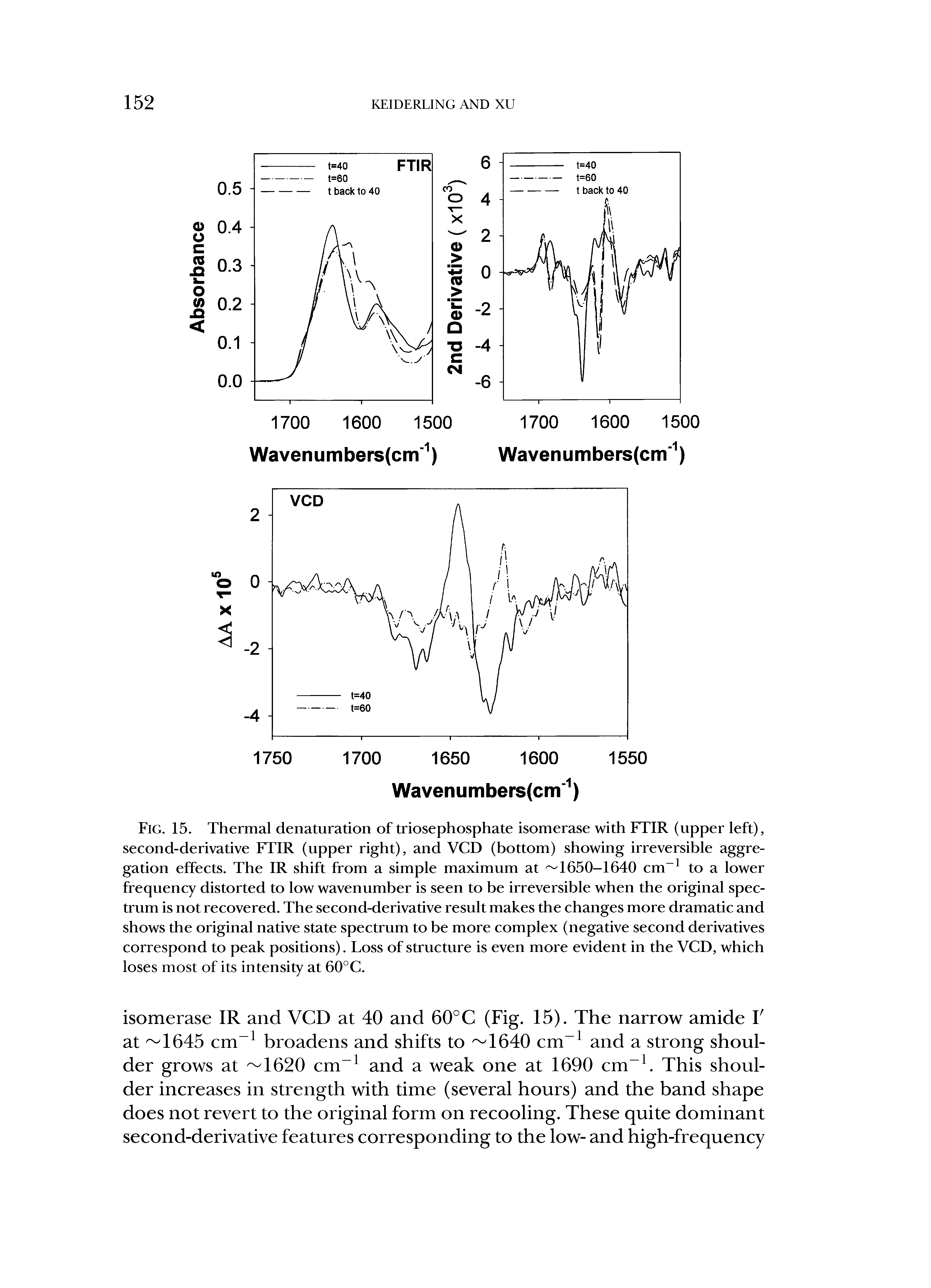 Fig. 15. Thermal denaturation of triosephosphate isomerase with FTIR (upper left), second-derivative FTIR (upper right), and VCD (bottom) showing irreversible aggregation effects. The IR shift from a simple maximum at 1650-1640 cm-1 to a lower frequency distorted to low wavenumber is seen to be irreversible when the original spectrum is not recovered. The second-derivative result makes the changes more dramatic and shows the original native state spectrum to be more complex (negative second derivatives correspond to peak positions). Loss of structure is even more evident in the VCD, which loses most of its intensity at 60°C.