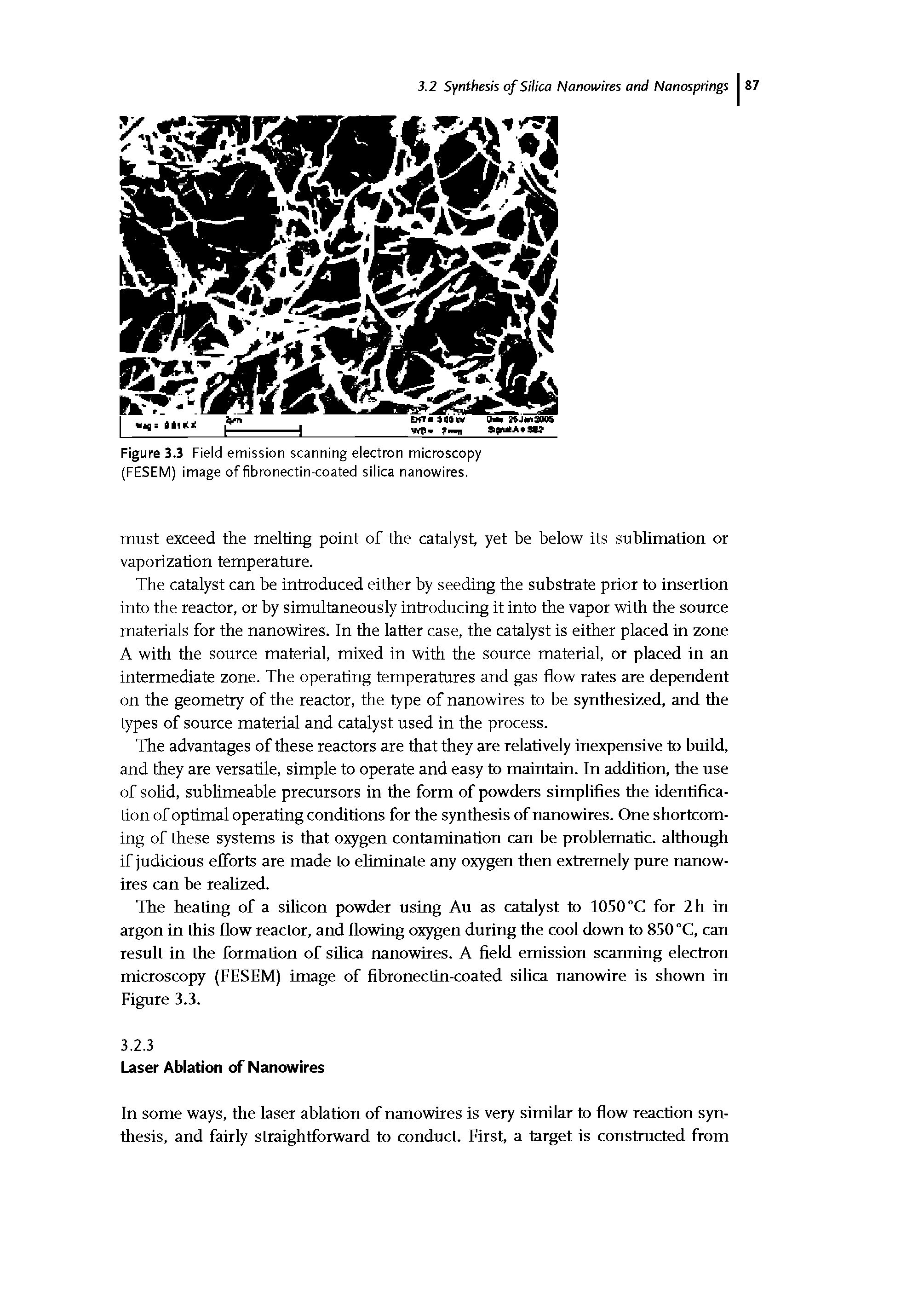 Figure 3.3 Field emission scanning electron microscopy (FESEM) image of fibronectin-coated silica nanowires.