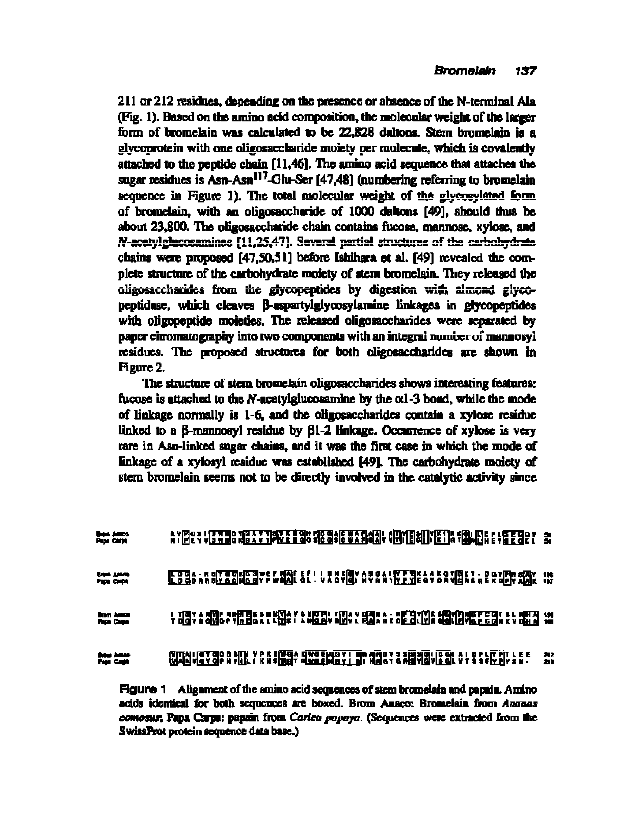 Figure 1 Alignment of the amino acid sequences of stem bromelain and papain. Amino adds identical for both sequences are boxed. Bioin Anaco Bromelain from Ananas comasun Papa Carpa papain from Cariea papaya. (Sequences were extracted from the SwissProt protean sequence dara base.)...