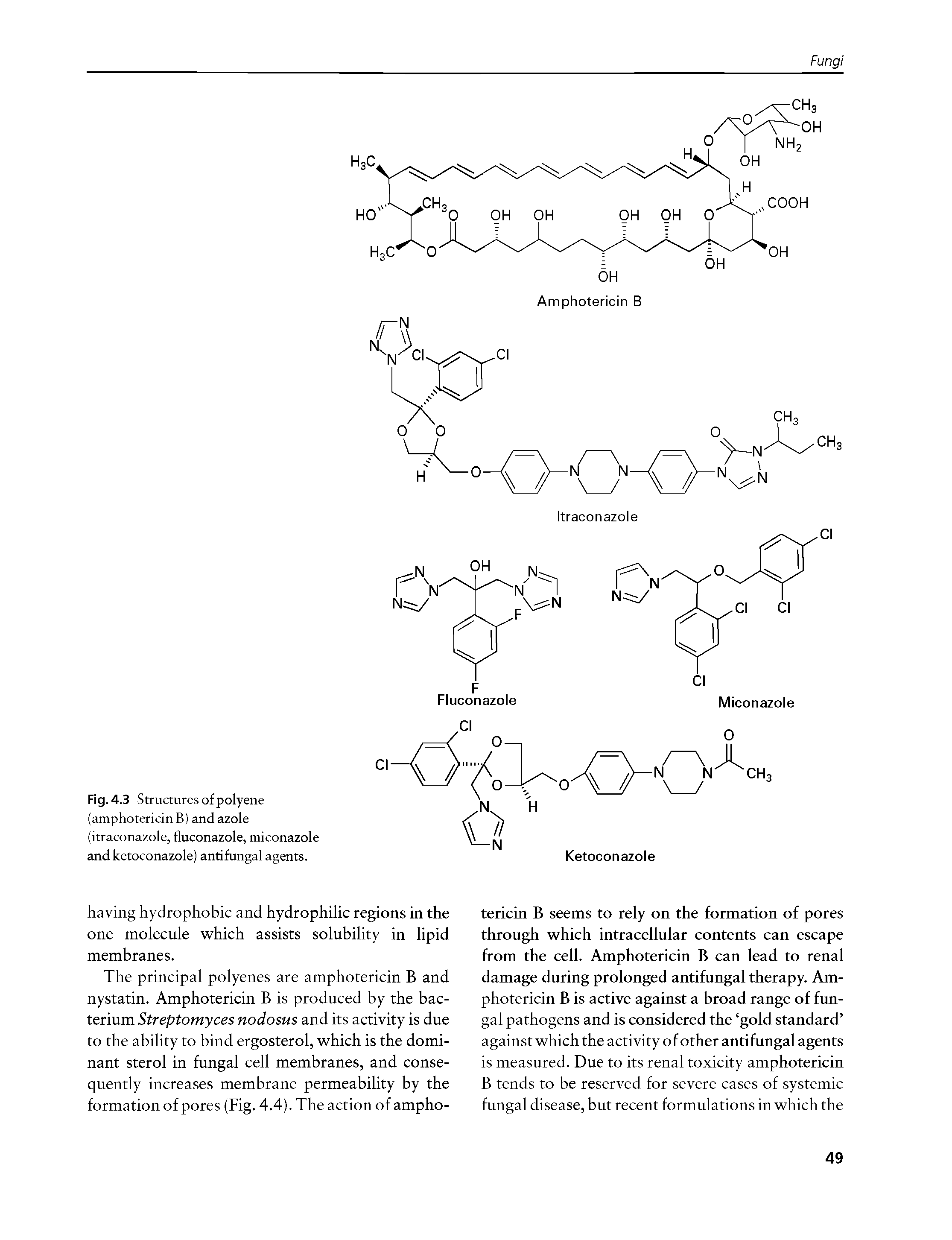 Fig. 4.3 Structures of polyene (amphotericin B) and azole (itraconazole, fluconazole, miconazole and ketoconazole) antifungal agents.