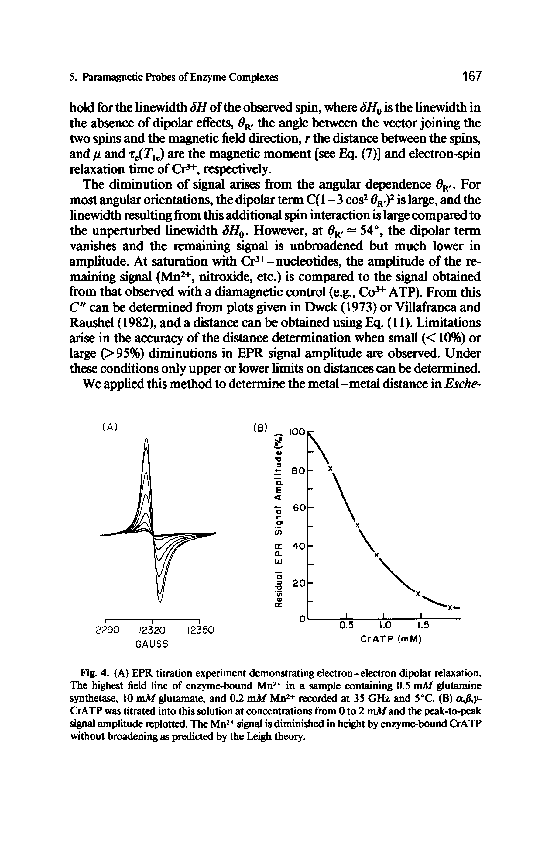 Fig. 4. (A) EPR titration experiment demonstrating electron-electron dipolar relaxation. The highest field line of enzyme-bound Mn - in a sample containing O.S mM glutamine synthetase, 10 mM glutamate, and 0.2 mAf Mn + recorded at 35 GHz and 3°C. (B) a, y-CrATP was titrated into this solution at concentrations from 0 to 2 mM and the peak-to-peak signal amplitude replotted. The Mn signal is diminished in height by enzyme-bound CrATP without broadening as predicted by the Leigh theory.