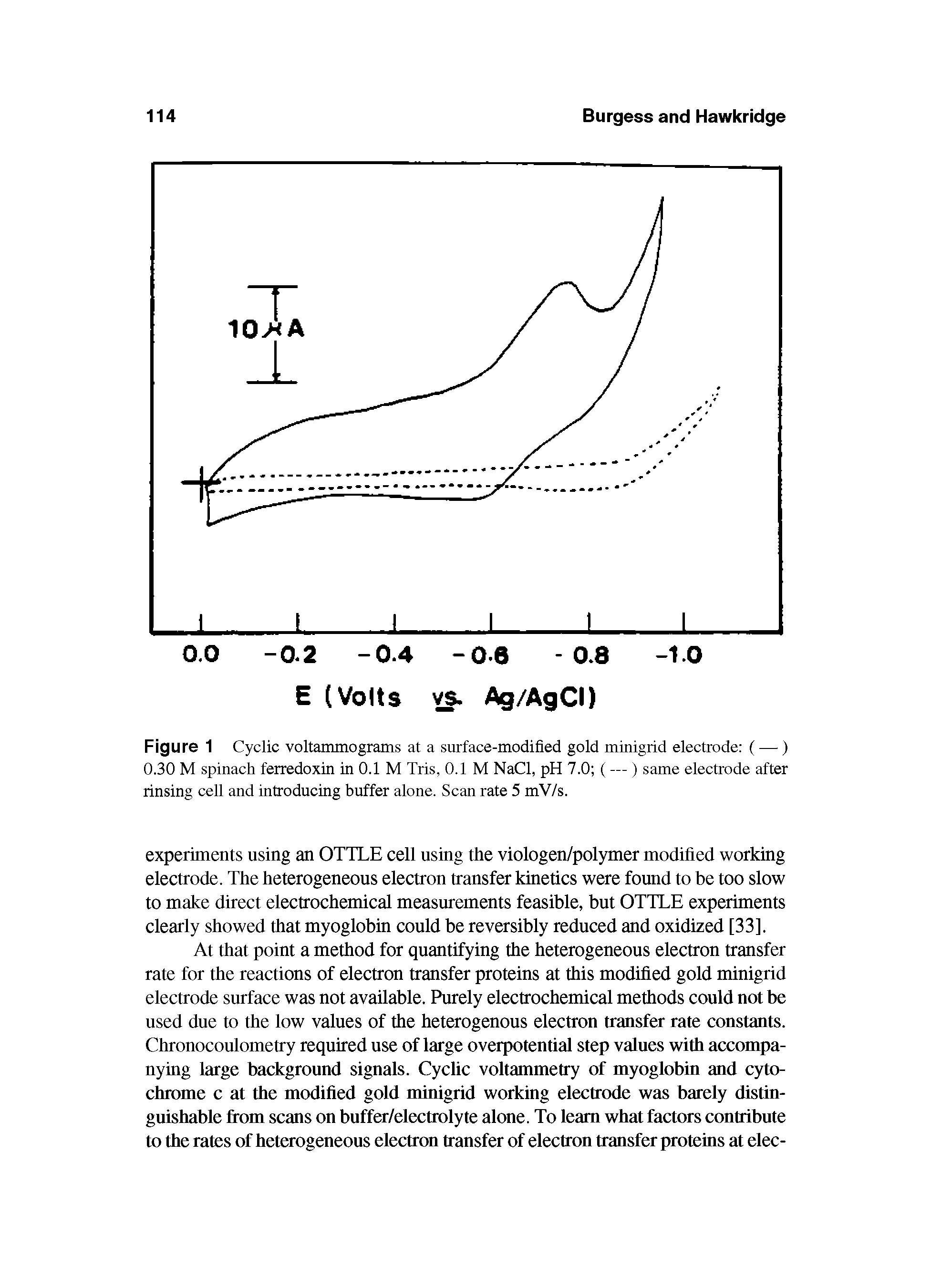 Figure 1 Cyclic voltammograms at a surface-modified gold minigrid electrode ( — ) 0.30 M spinach ferredoxin in 0.1 M Tris, 0.1 M NaCl, pH 7.0 ( — ) same electrode after rinsing cell and introducing buffer alone. Scan rate 5 mV/s.