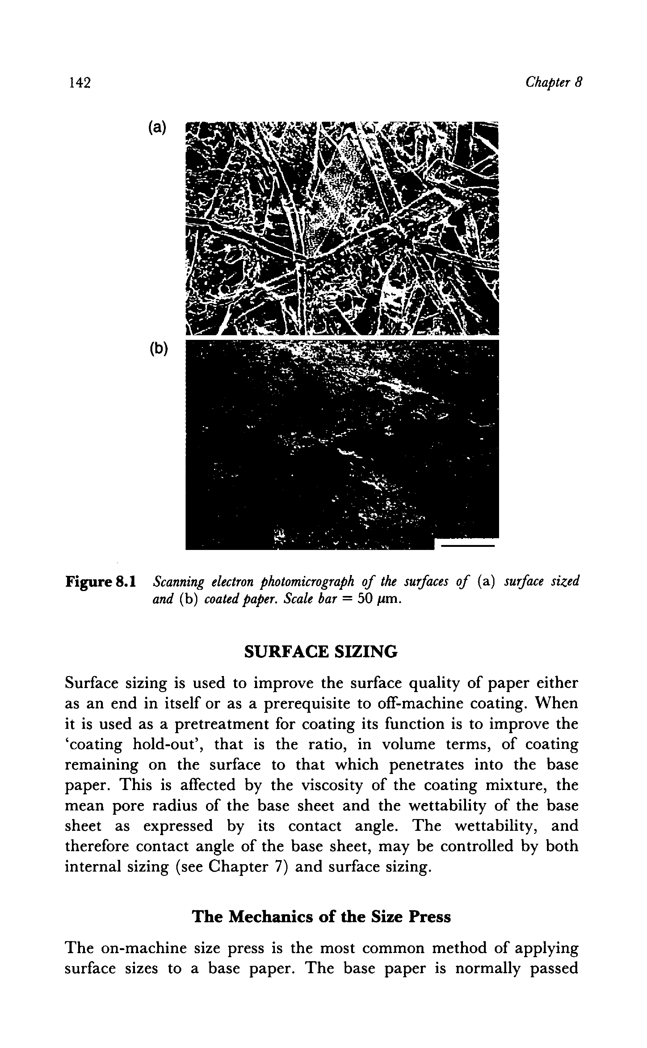 Figure 8.1 Scanning electron photomicrograph of the surfaces of (a) surface sized, and (b) coated paper. Scale bar = 50 jum.