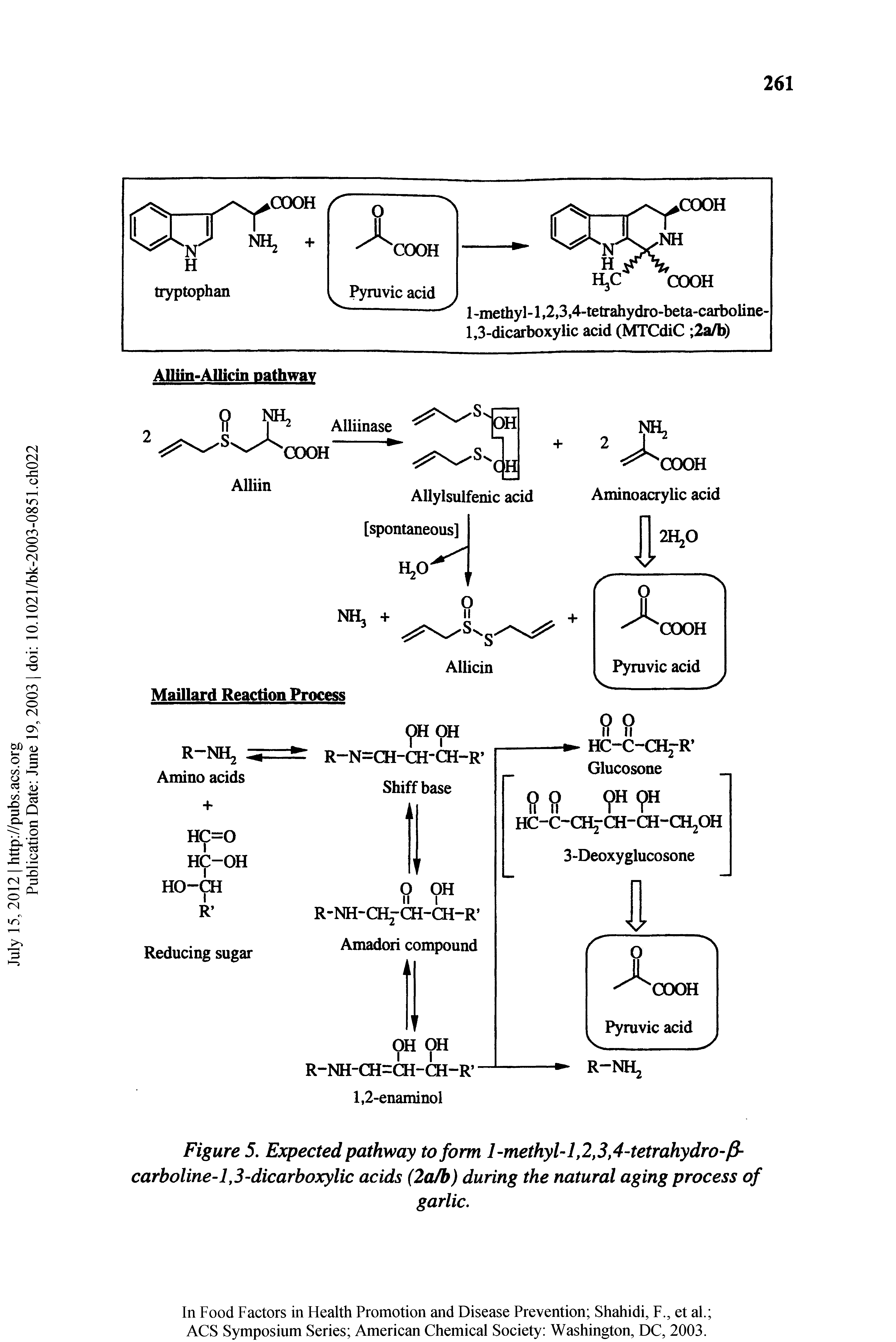 Figure 5, Expected pathway to form 1-methyl-1,2,3,4-tetrahydrO j3-carboline-l,3-dicarboxylic acids (2a/b) during the natural aging process of...