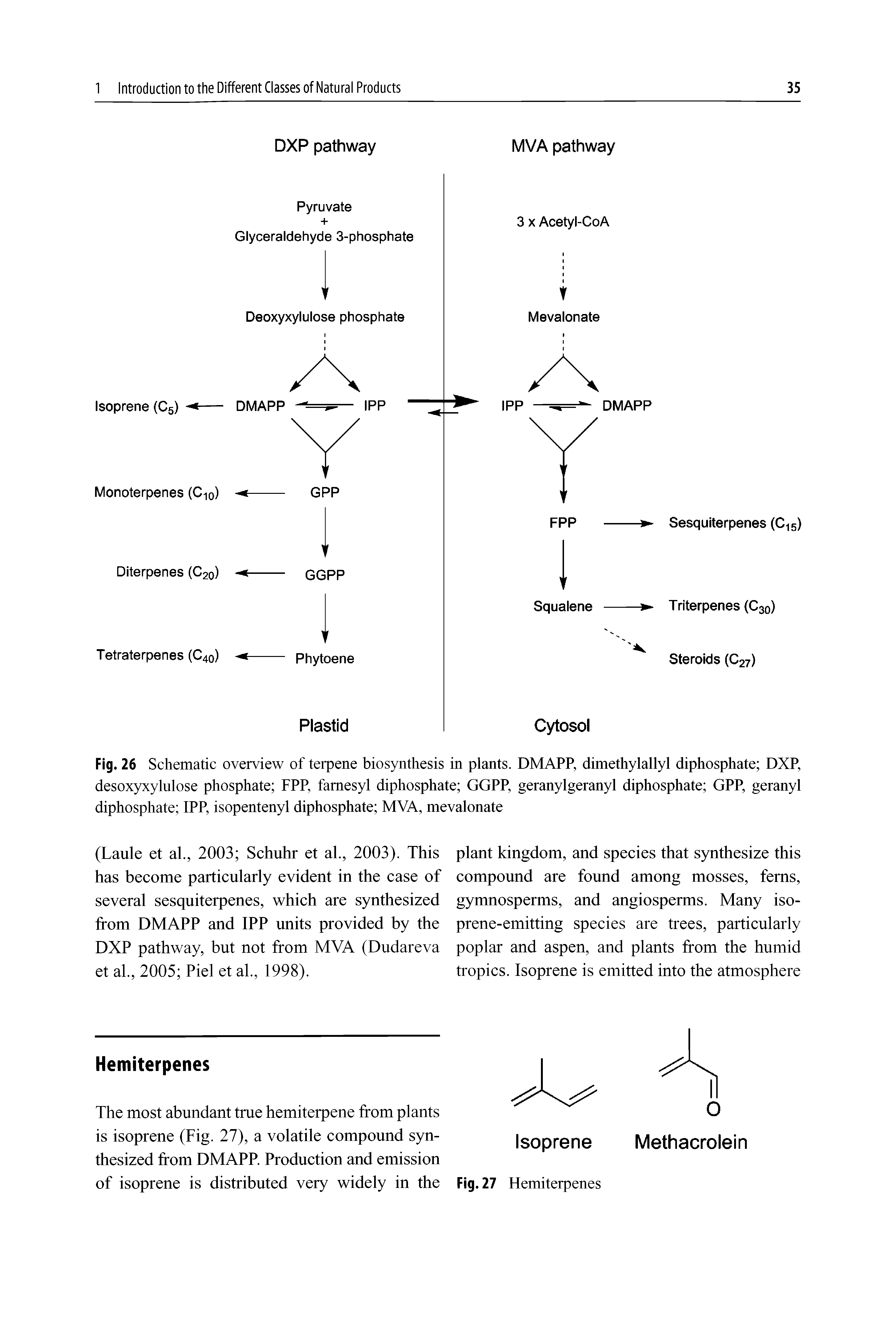 Fig. 26 Schematic overview of terpene biosynthesis in plants. DMAPP, dimethylallyl diphosphate DXP, desoxyxylulose phosphate FPP, famesyl diphosphate GGPP, geranylgeranyl diphosphate GPP, geranyl diphosphate IPP, isopentenyl diphosphate MVA, mevalonate...