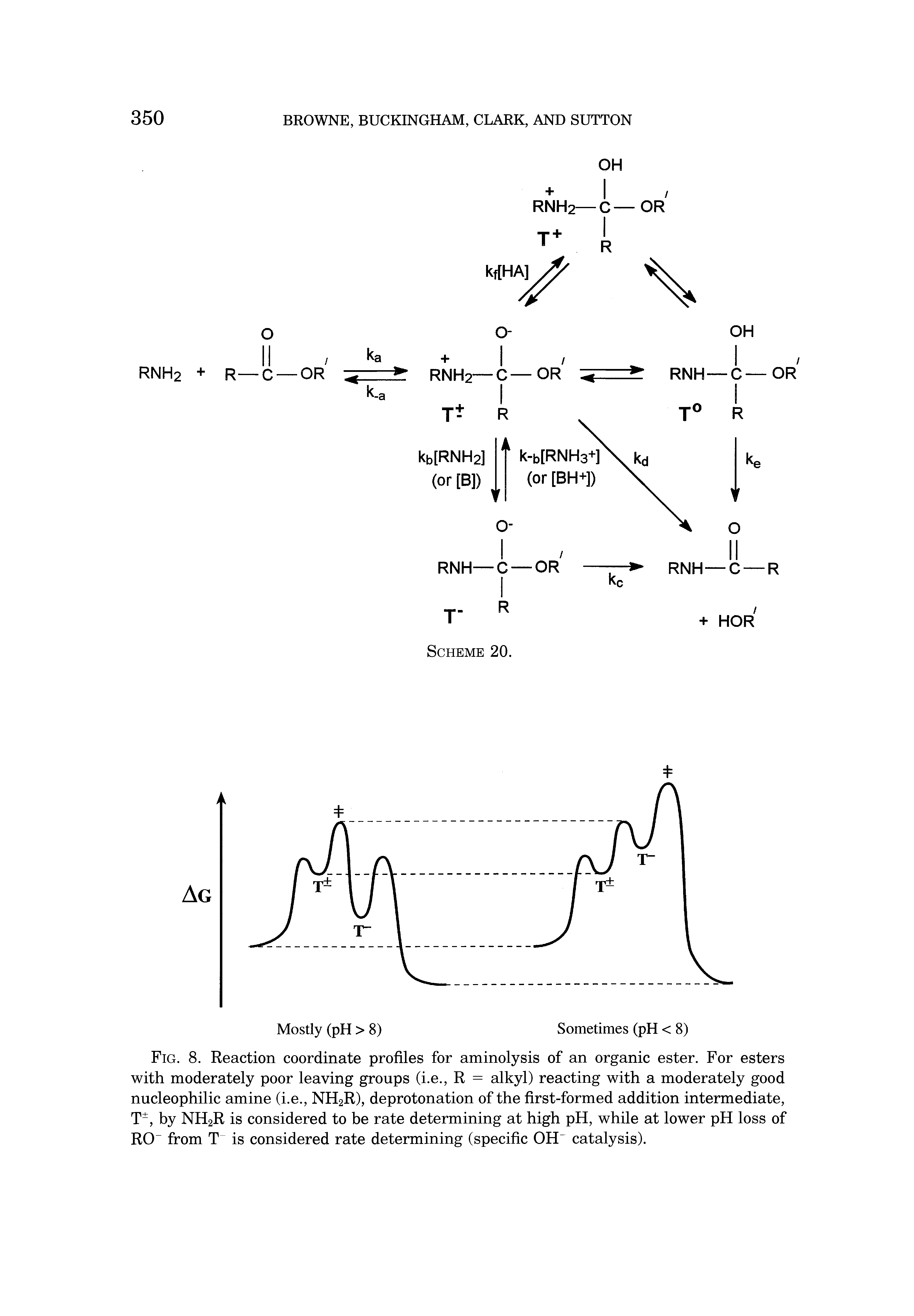 Fig. 8. Reaction coordinate profiles for aminolysis of an organic ester. For esters with moderately poor leaving groups (i.e., R = alkyl) reacting with a moderately good nucleophilic amine (i.e., NH2R), deprotonation of the first-formed addition intermediate, T , by NH2R is considered to be rate determining at high pH, while at lower pH loss of RO from T is considered rate determining (specific OH catalysis).