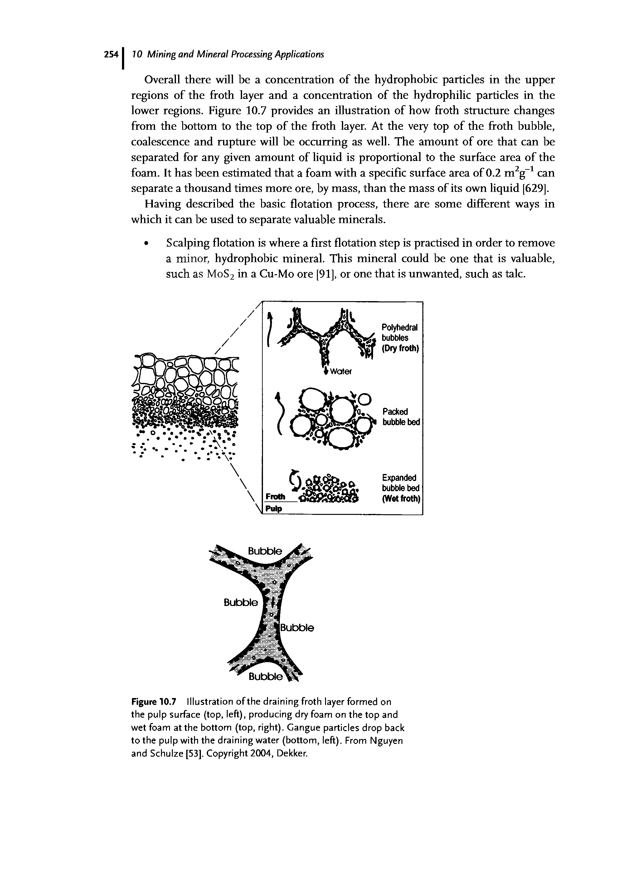 Figure 10.7 Illustration ofthe draining froth layer formed on the pulp surface (top, left), producing dry foam on the top and wet foam at the bottom (top, right). Gangue particles drop back to the pulp with the draining water (bottom, left). From Nguyen and Schulze [53], Copyright 2004, Dekker.