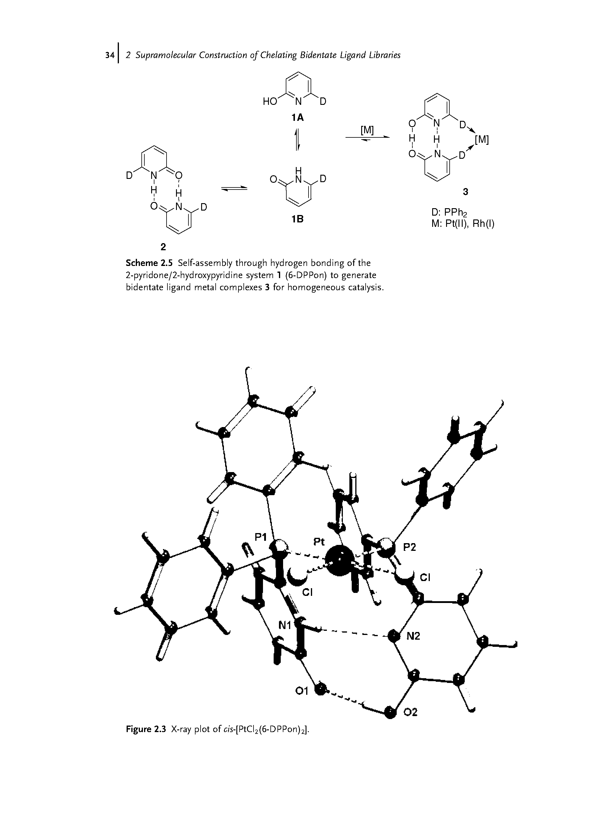 Scheme 2.5 Self-assembly through hydrogen bonding of the 2-pyridone/2-hydroxypyridine system 1 (6-DPPon) to generate bidentate ligand metal complexes 3 for homogeneous catalysis.