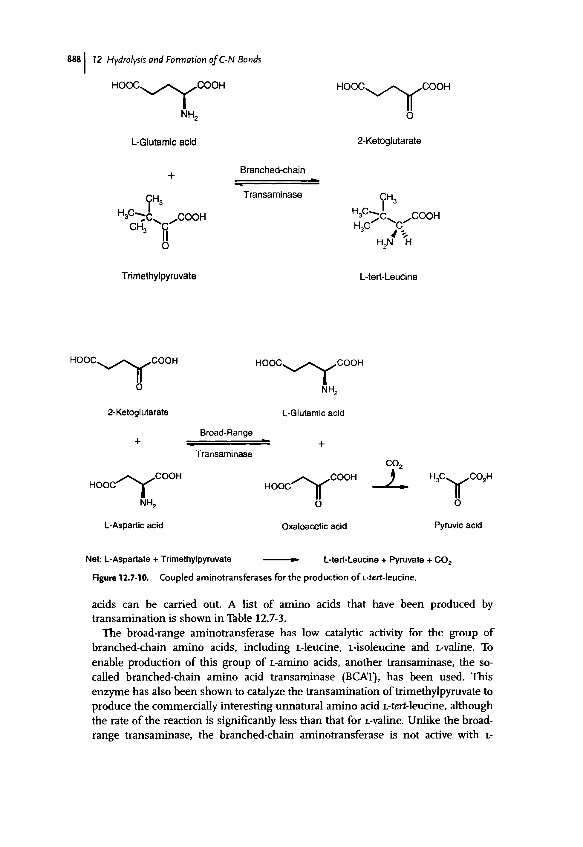 Figure 12.7-10. Coupled aminotransferases for the production of L-tert-leucine.