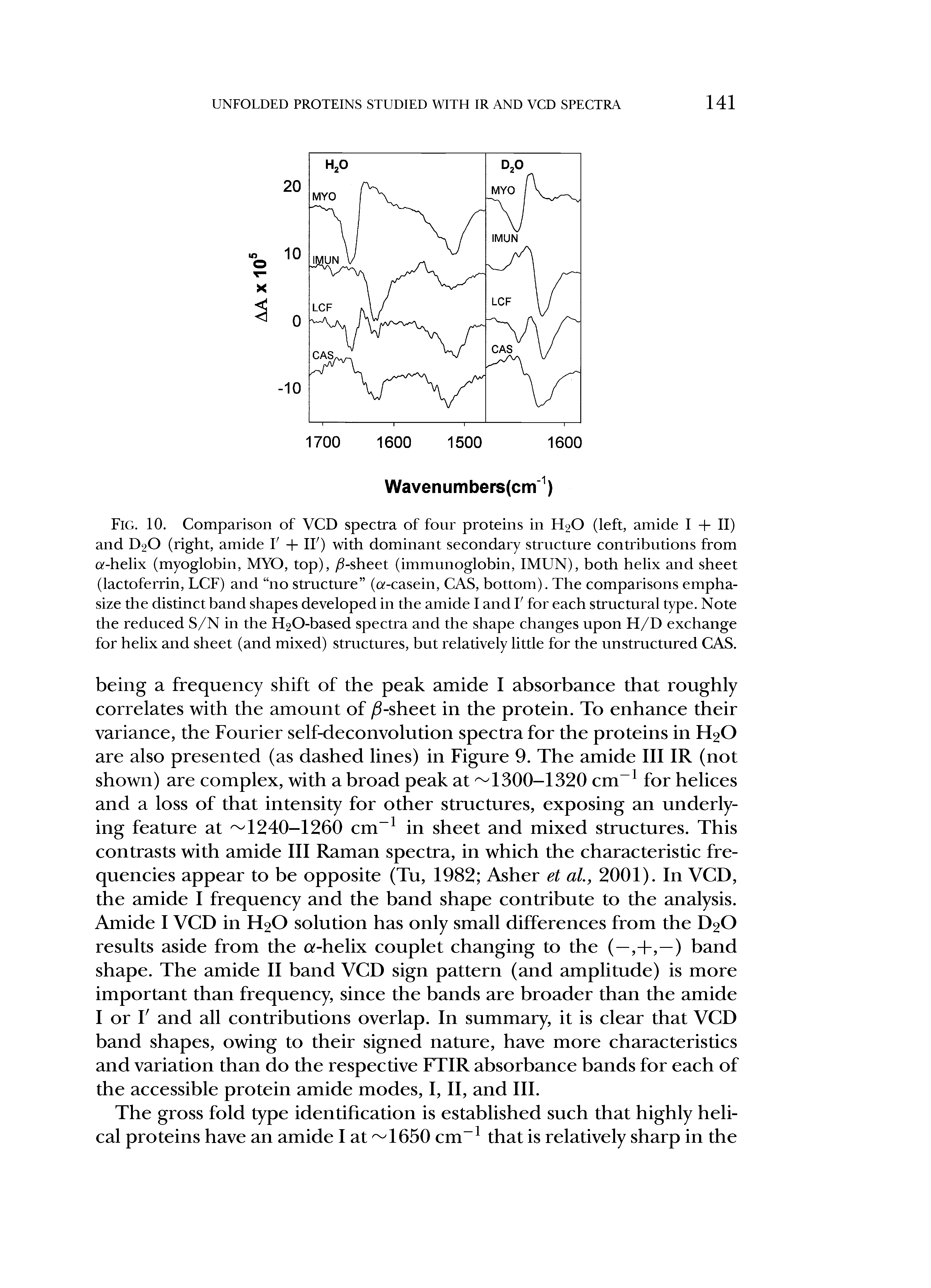 Fig. 10. Comparison of VCD spectra of four proteins in H2O (left, amide I + II) and D2O (right, amide V + IF) with dominant secondary structure contributions from G -helix (myoglobin, MYO, top), /3-sheet (immunoglobin, IMUN), both helix and sheet (lactoferrin, LCF) and no structure (o -casein, CAS, bottom). The comparisons emphasize the distinct band shapes developed in the amide I and V for each structural type. Note the reduced S/N in the F O-based spectra and the shape changes upon H/D exchange for helix and sheet (and mixed) structures, but relatively little for the unstructured CAS.