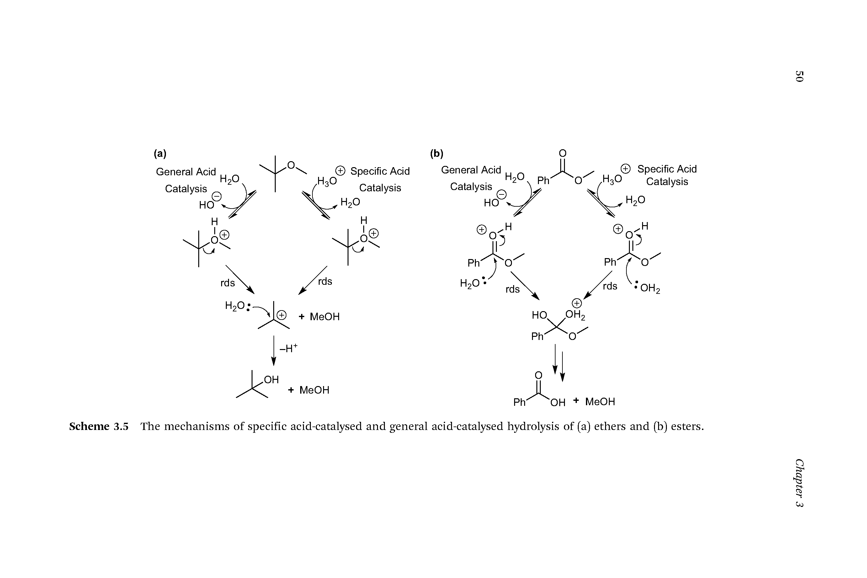 Scheme 3.5 The mechanisms of specific acid-catalysed and general acid-catalysed hydrolysis of (a) ethers and (b) esters.
