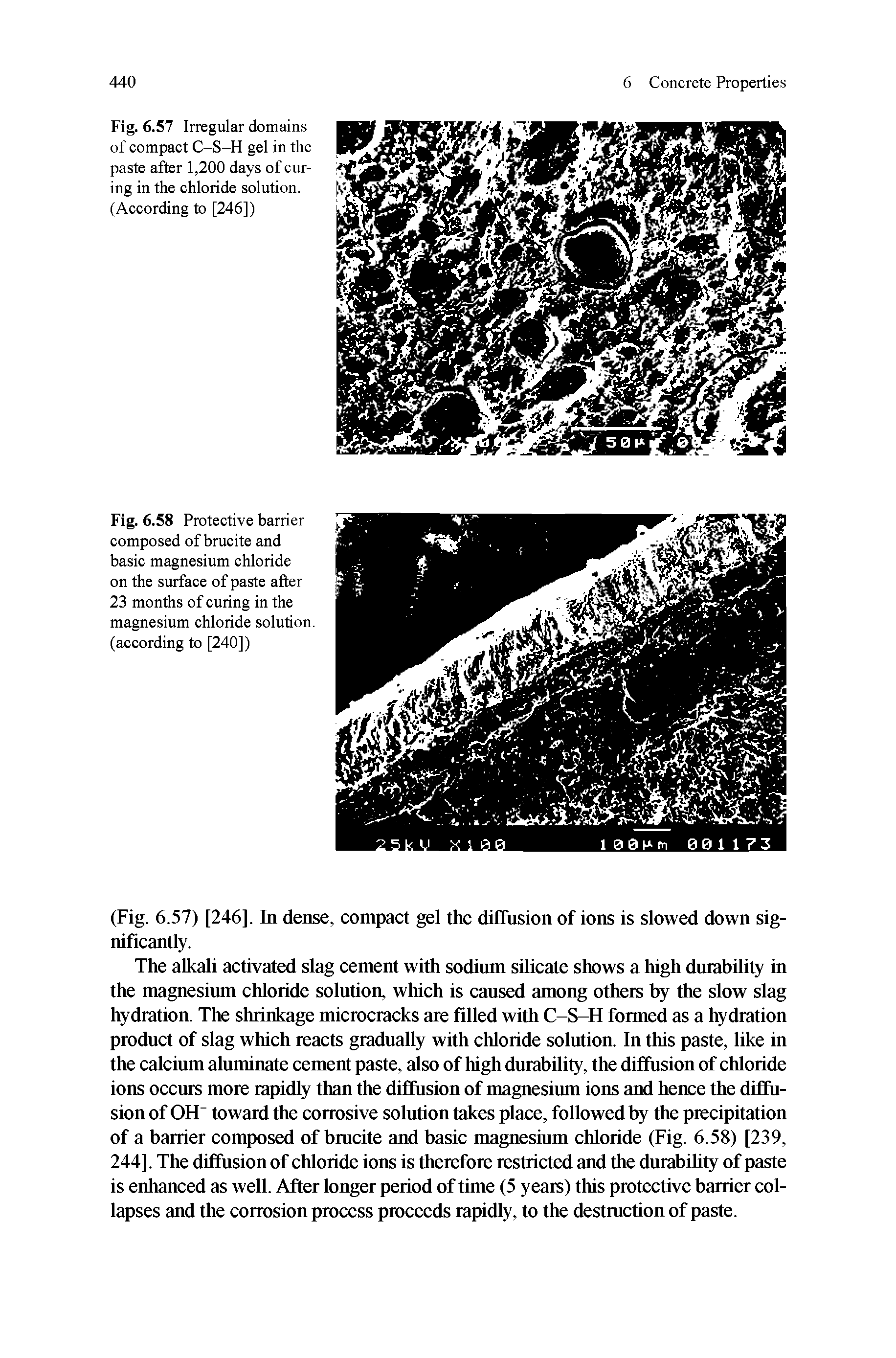 Fig. 6.58 Protective barrier composed of brucite and basic magnesium chloride on the surface of paste after 23 months of curing in the magnesium chloride solution, (according to [240])...