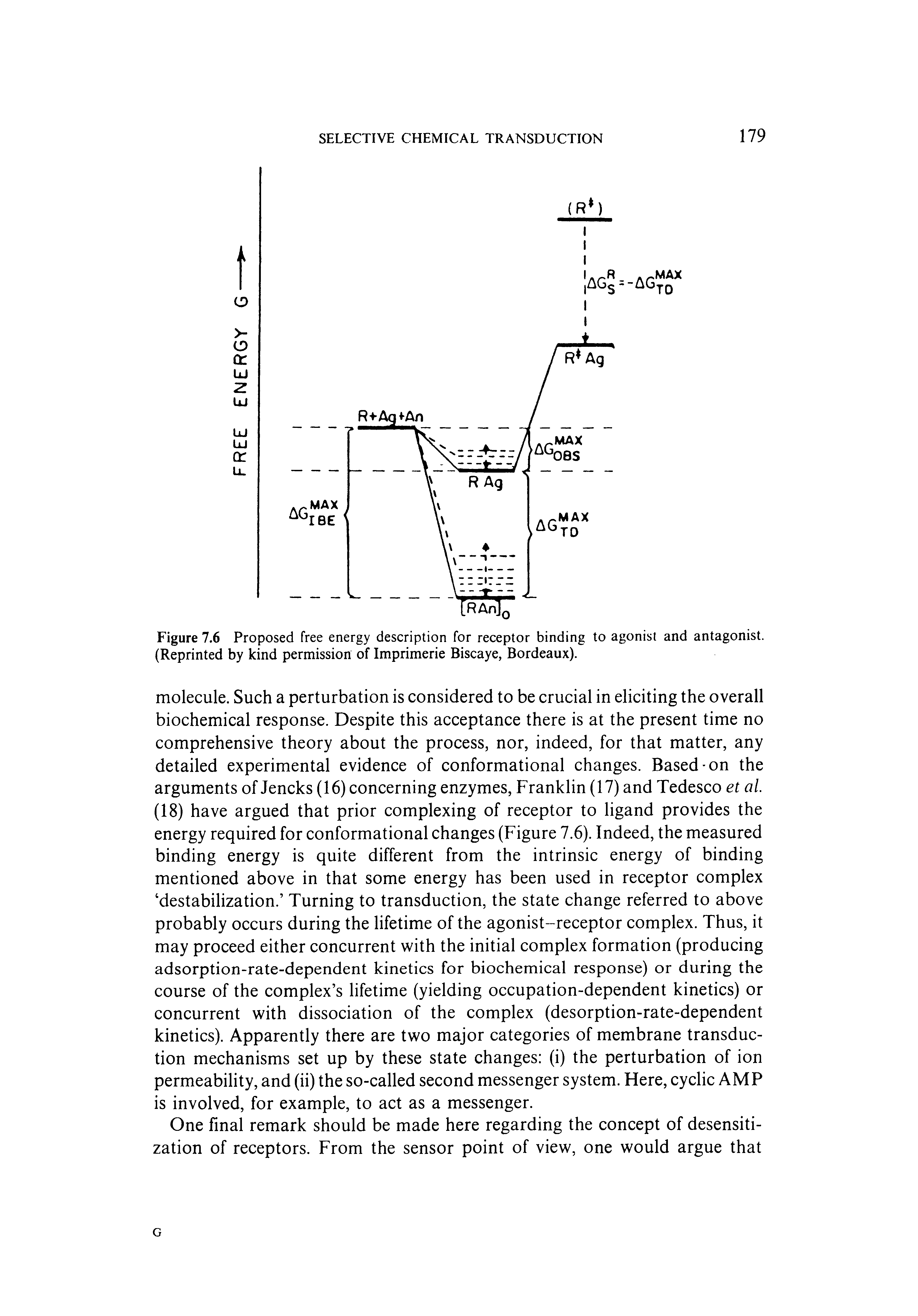 Figure 7.6 Proposed free energy description for receptor binding to agonist and antagonist. (Reprinted by kind permission of Imprimerie Biscaye, Bordeaux).