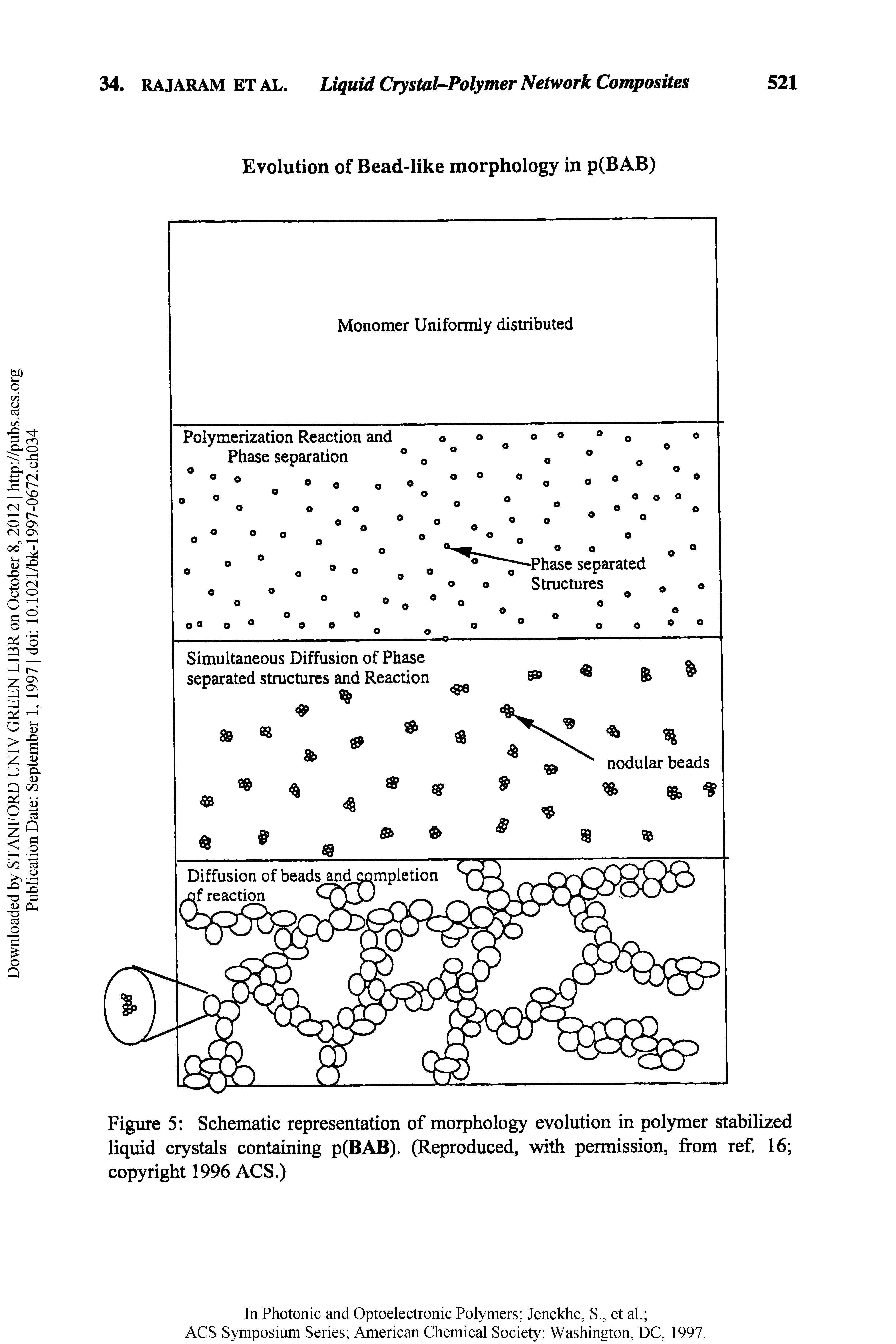 Figure 5 Schematic representation of morphology evolution in polymer stabilized liquid crystals containing p(BAB). (Reproduced, with permission, from ref. 16 copyright 1996 ACS.)...