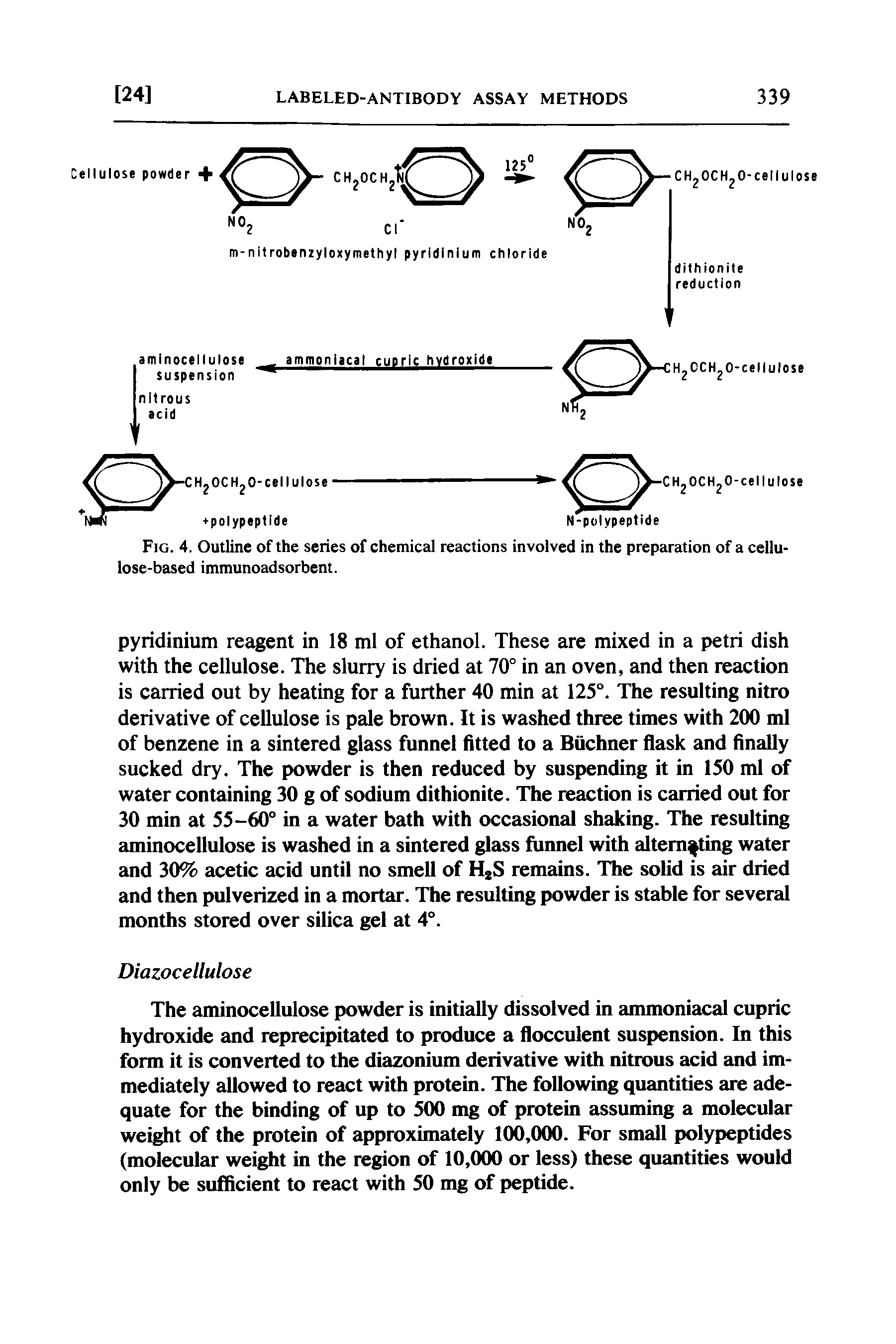 Fig. 4. Outline of the series of chemical reactions involved in the preparation of a cellulose-based immunoadsorbent.