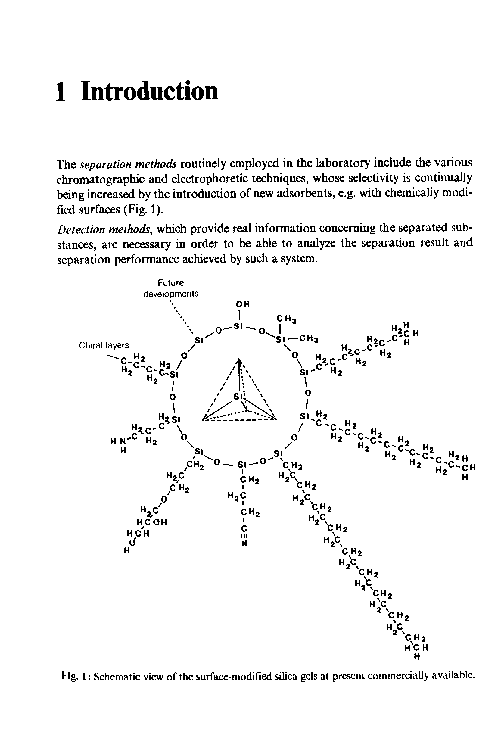 Fig. 1 Schematic view of the surface-modified silica gels at present commercially available.