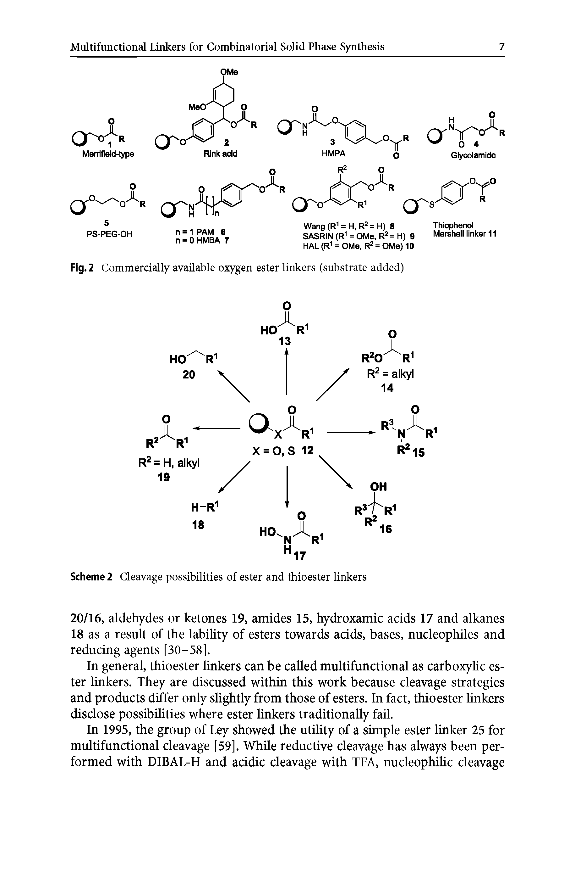 Scheme 2 Cleavage possibilities of ester and thioester linkers...