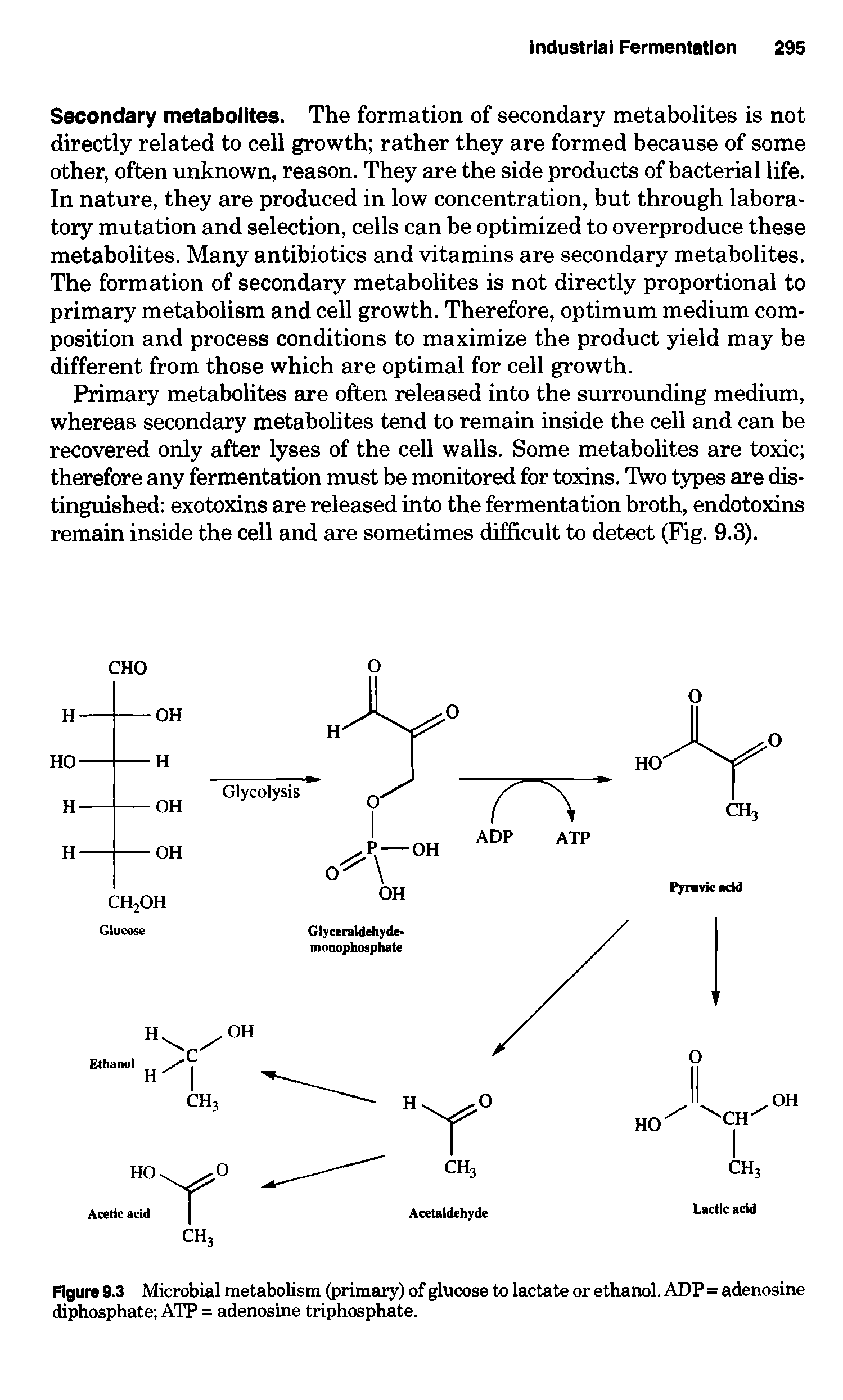 Figure 9.3 Microbial metabolism (primary) of glucose to lactate or ethanol. ADP = adenosine diphosphate ATP = adenosine triphosphate.