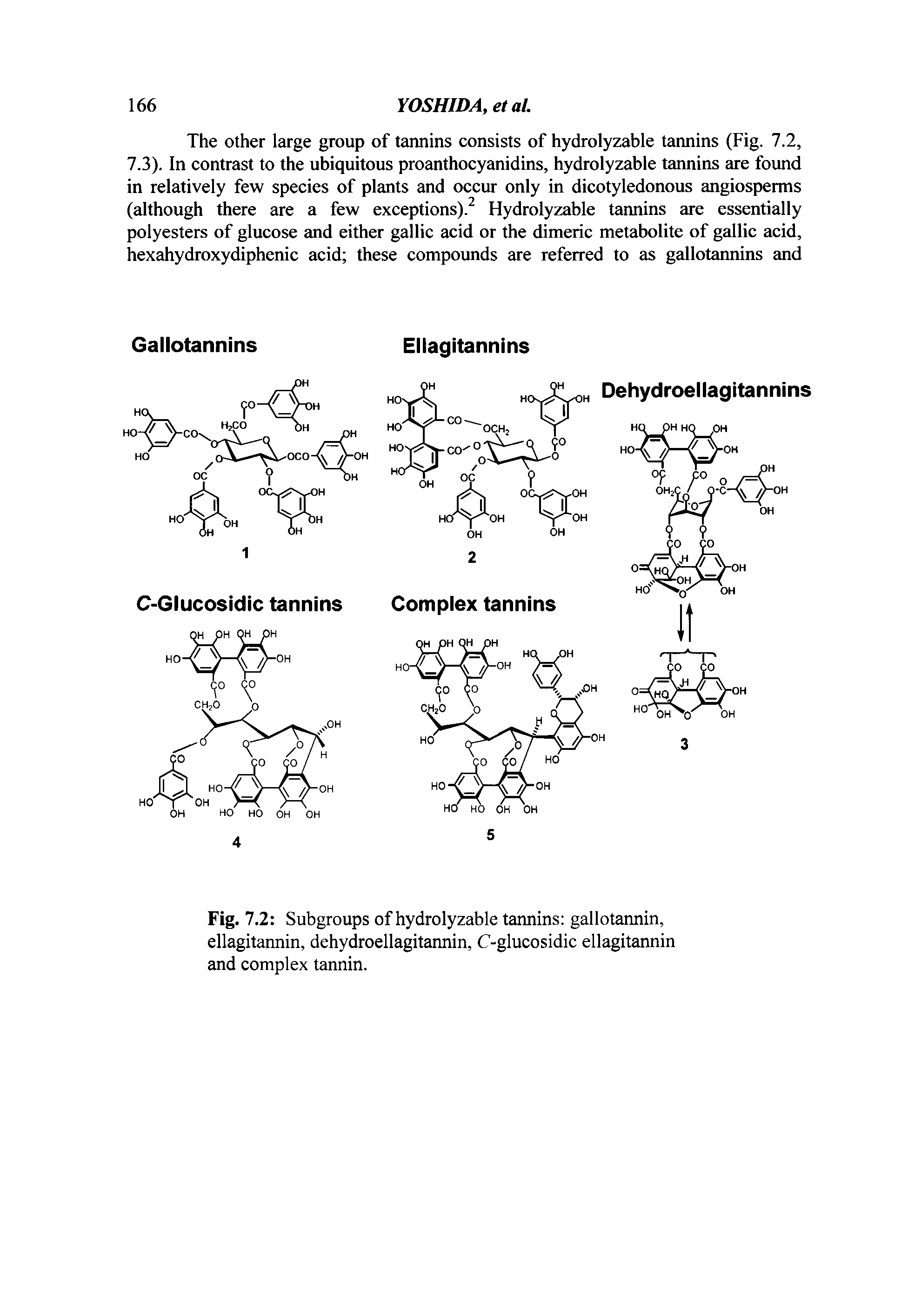 Fig. 7.2 Subgroups of hydrolyzable tannins gallotannin, ellagitannin, dehydroellagitannin, C-glucosidic ellagitannin and complex tannin.