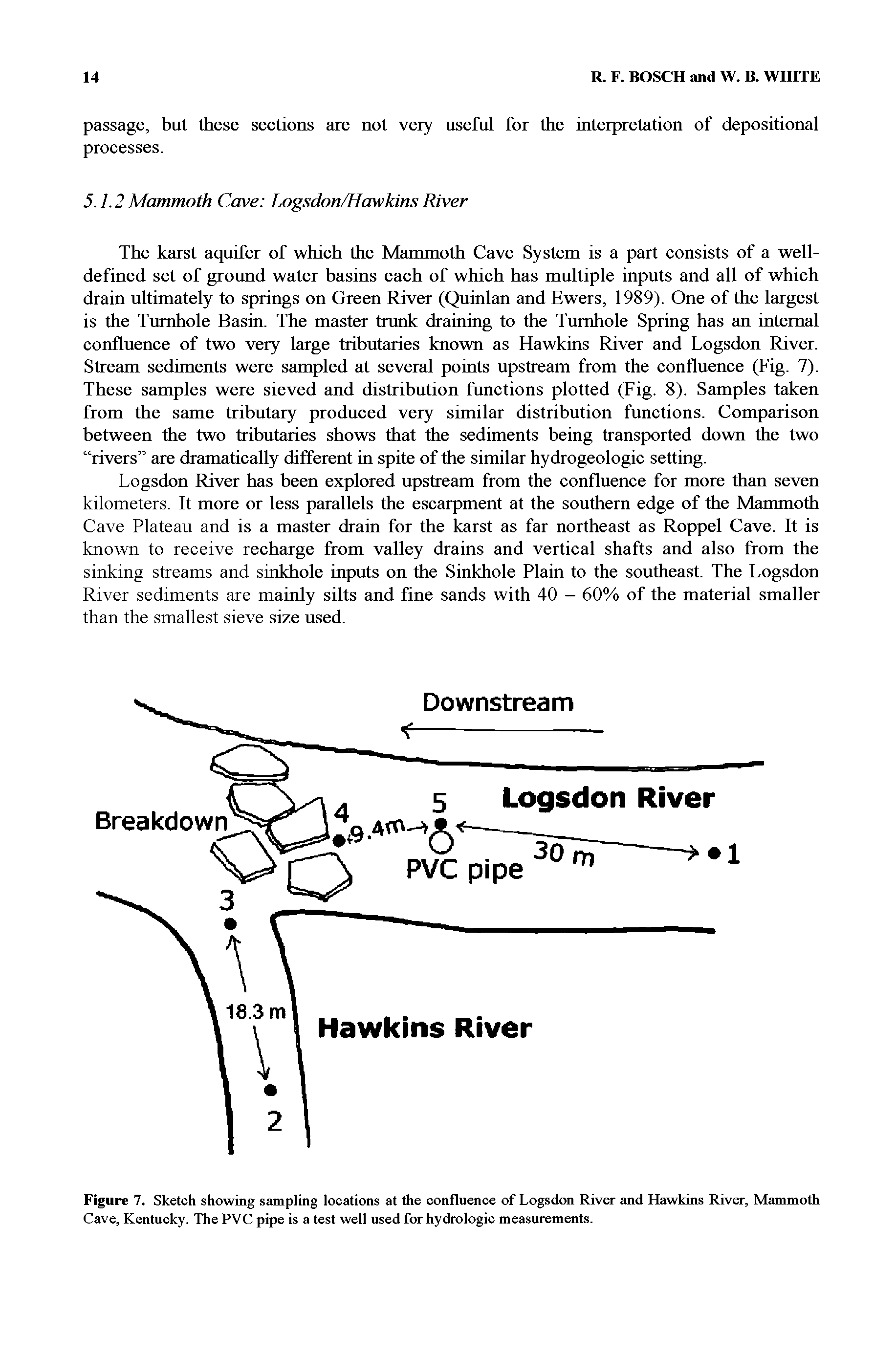 Figure 7. Sketch showing sapling locations at tfie confluence of Logsdon River and Hawkins River, M nmodi Cave, Kentucky. The PVC pipe is a test well used for hydrologic measurements.