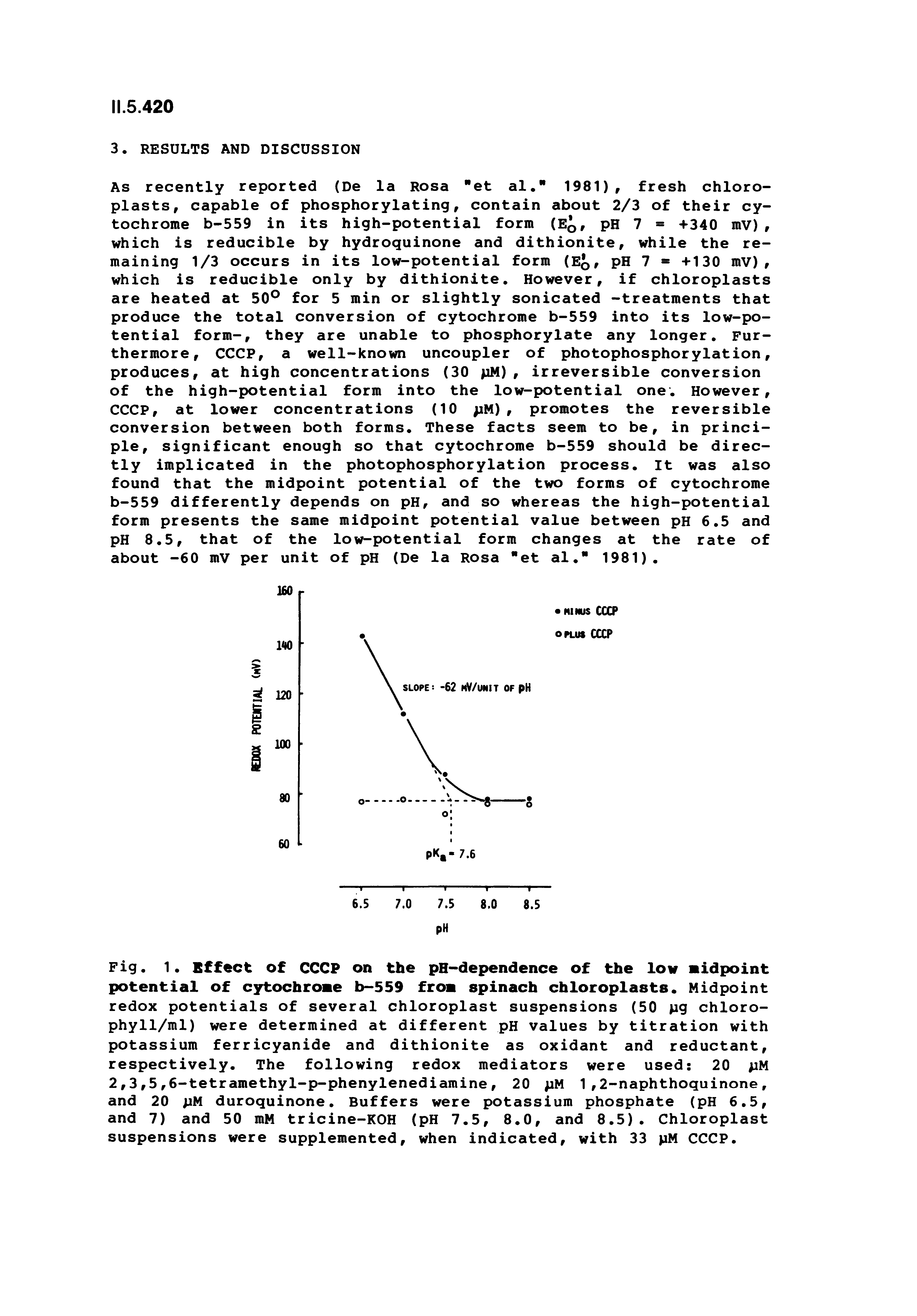 Fig. 1. Effect of CCCP on the pH-dependence of the low midpoint potential of cytochrome b-559 from spinach chloroplasts. Midpoint redox potentials of several chloroplast suspensions (50 pg chloro-phyll/ml) were determined at different pH values by titration with potassium ferricyanide and dithionite as oxidant and reductant, respectively. The following redox mediators were used 20 >iM 2,3,5,6-tetramethyl-p-phenylenediamine, 20 pM 1,2-naphthoquinone, and 20 pM duroquinone. Buffers were potassium phosphate (pH 6.5, and 7) and 50 mM tricine-KOH (pH 7.5, 8.0, and 8.5). Chloroplast suspensions were supplemented, when indicated, with 33 pM CCCP.