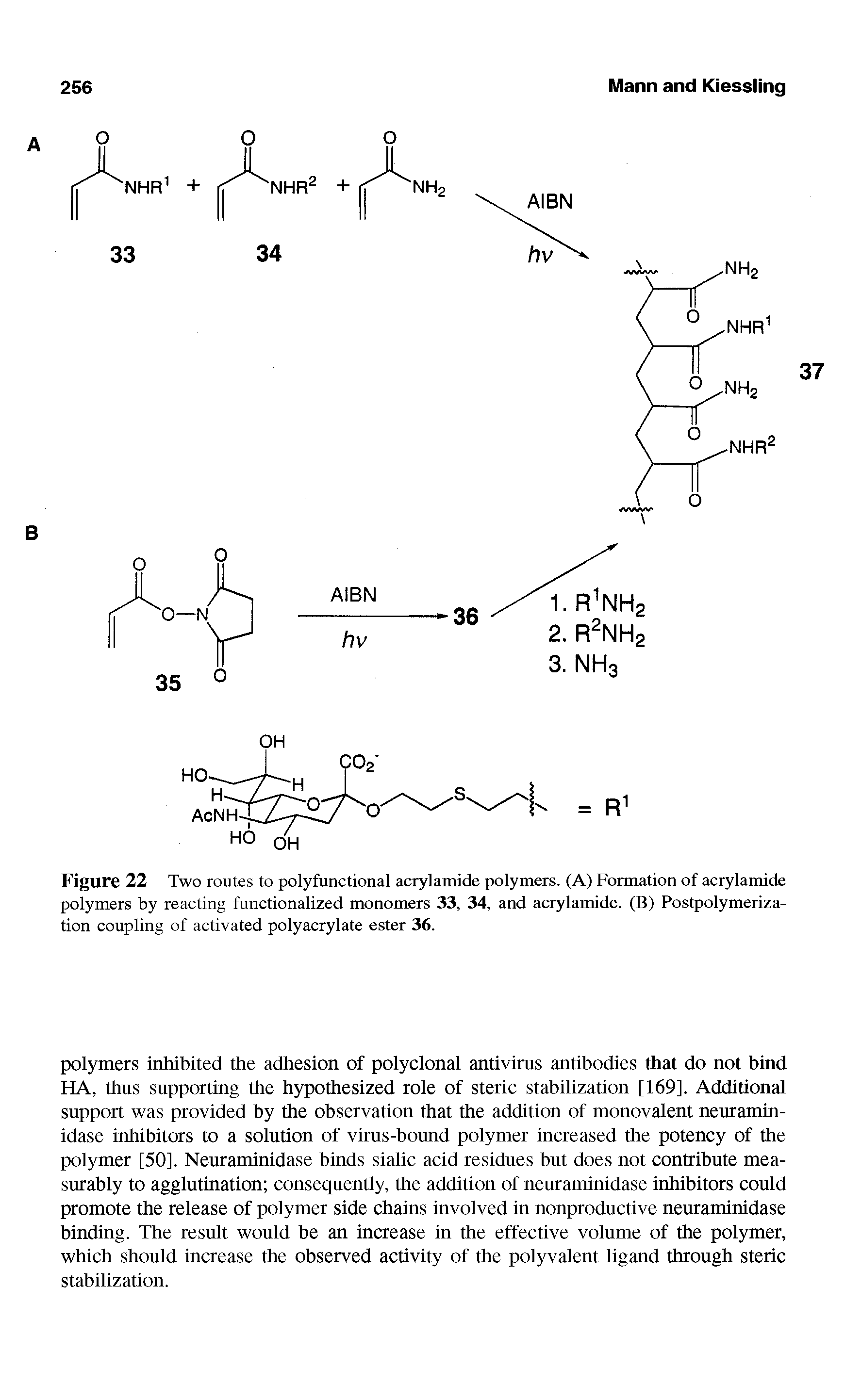 Figure 22 Two routes to polyfunctional acrylamide polymers. (A) Formation of acrylamide polymers by reacting functionalized monomers 33, 34, and acrylamide. (B) Postpolymerization coupling of activated polyacrylate ester 36.