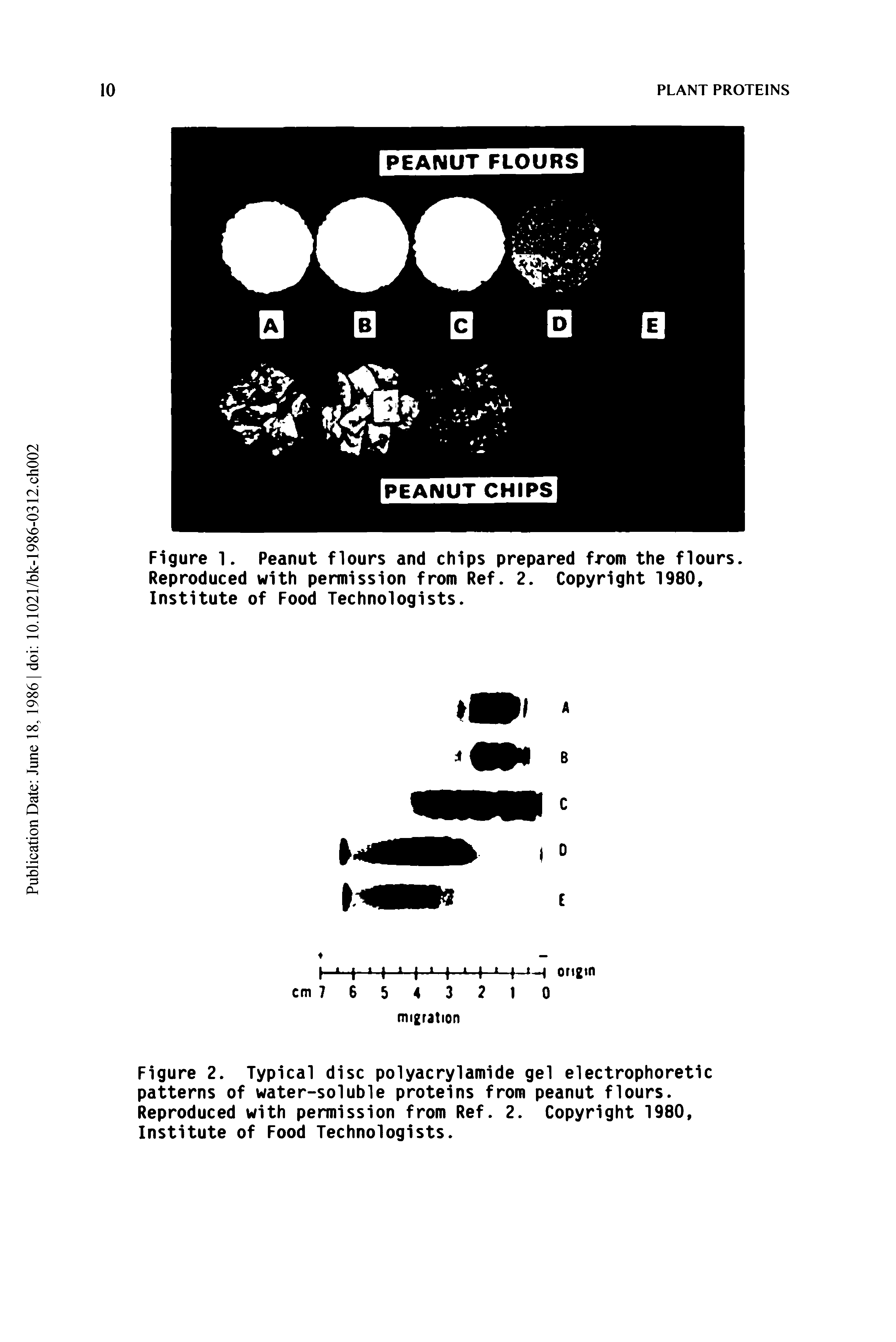 Figure 2. Typical disc polyacrylamide gel electrophoretic patterns of water-soluble proteins from peanut flours. Reproduced with permission from Ref. 2. Copyright 1980, Institute of Food Technologists.