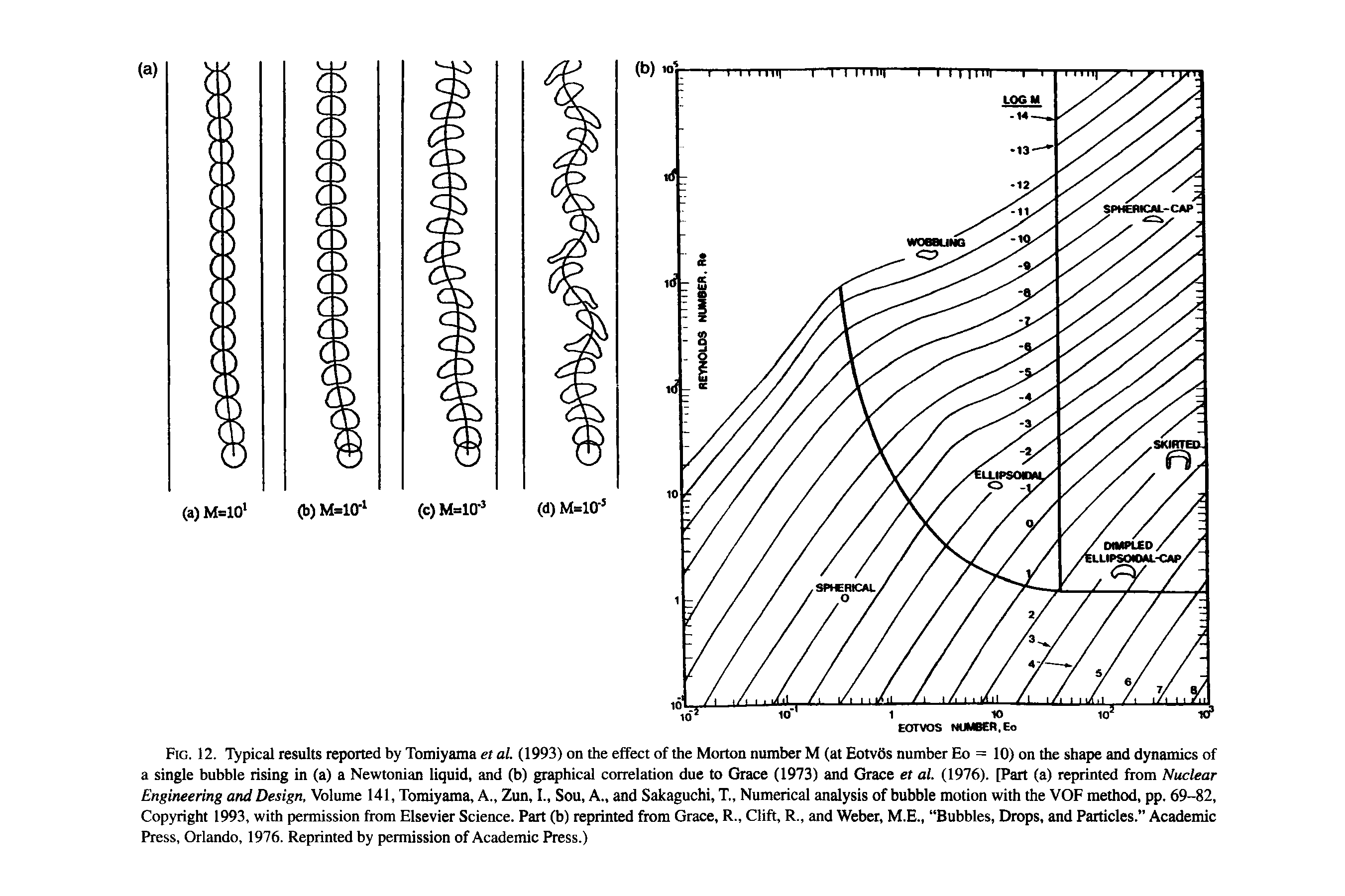 Fig. 12. Typical results reported by Tomiyama ei al. (1993) on the effect of the Morton number M (atEotvSs number Eo = 10) on the shape and dynamics of a single bubble rising in (a) a Newtonian liquid, and (b) graphical correlation due to Grace (1973) and Grace et al. (1976). [Part (a) reprinted from Nuclear Engineering and Design, Volume 141, Tomiyama, A., Zun, I., Sou, A., and Sakaguchi, T., Numerical analysis of bubble motion with the VOF method, pp. 69-82, Copyright 1993, with permission from Elsevier Science. Part (b) reprinted from Grace, R., Clift, R., and Weber, M.E., Bubbles, Drops, and Particles. Academic Press, Orlando, 1976. Reprinted by permission of Academic Press.)...