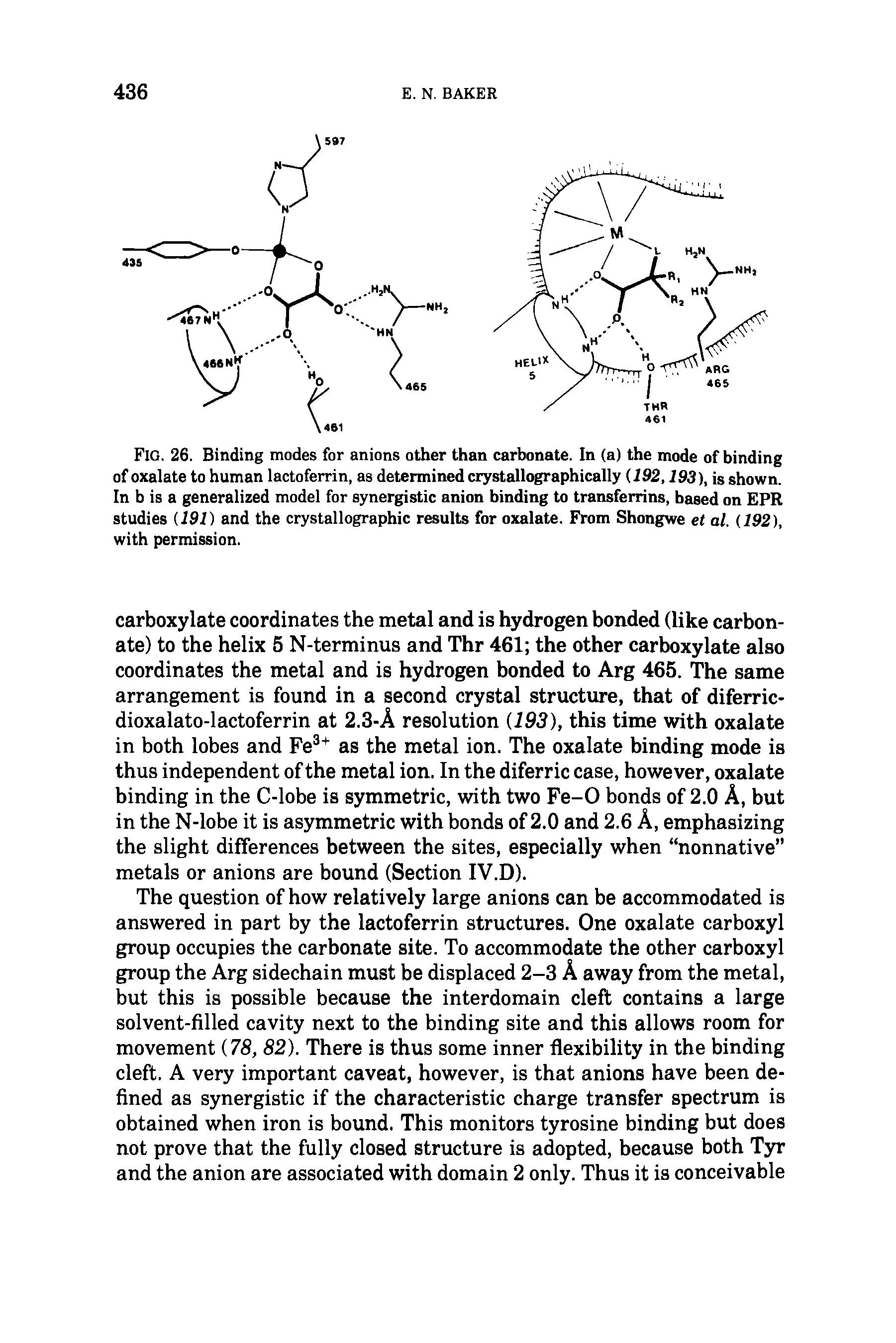 Fig. 26. Binding modes for anions other than carbonate. In (a) the mode of binding of oxalate to human lactoferrin, as determined crystallographically (192,193), is shown. In b is a generalized model for synergistic anion binding to transferrins, based on EPR studies (191) and the crystallographic results for oxalate. From Shongwe et al. (192), with permission.
