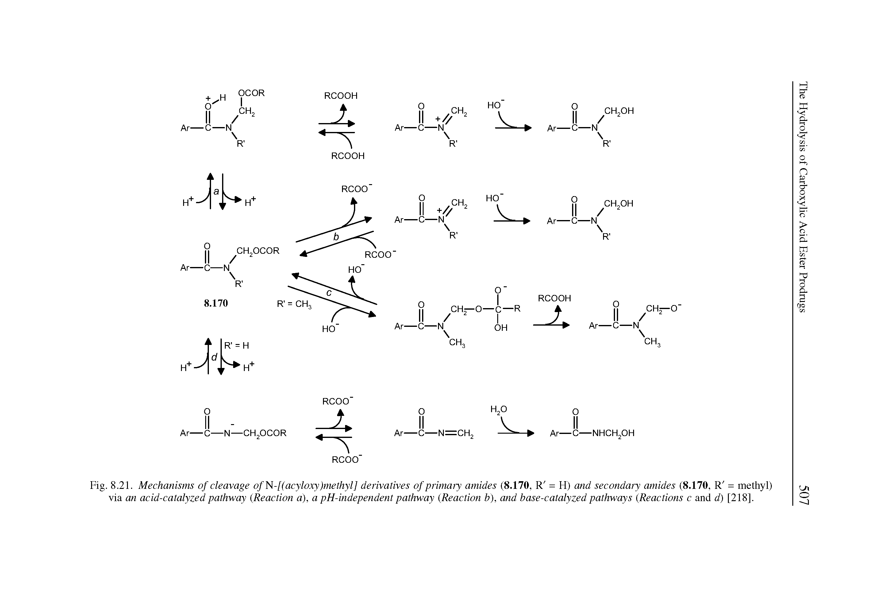Fig. 8.21. Mechanisms of cleavage ofN-[(acyloxy)methyl] derivatives of primary amides (8.170, R = H) and secondary amides (8.170, R = methyl) via an acid-catalyzed pathway (.Reaction a), a pH-independent pathway (.Reaction b), and base-catalyzed pathways (Reactions c and d) [218].