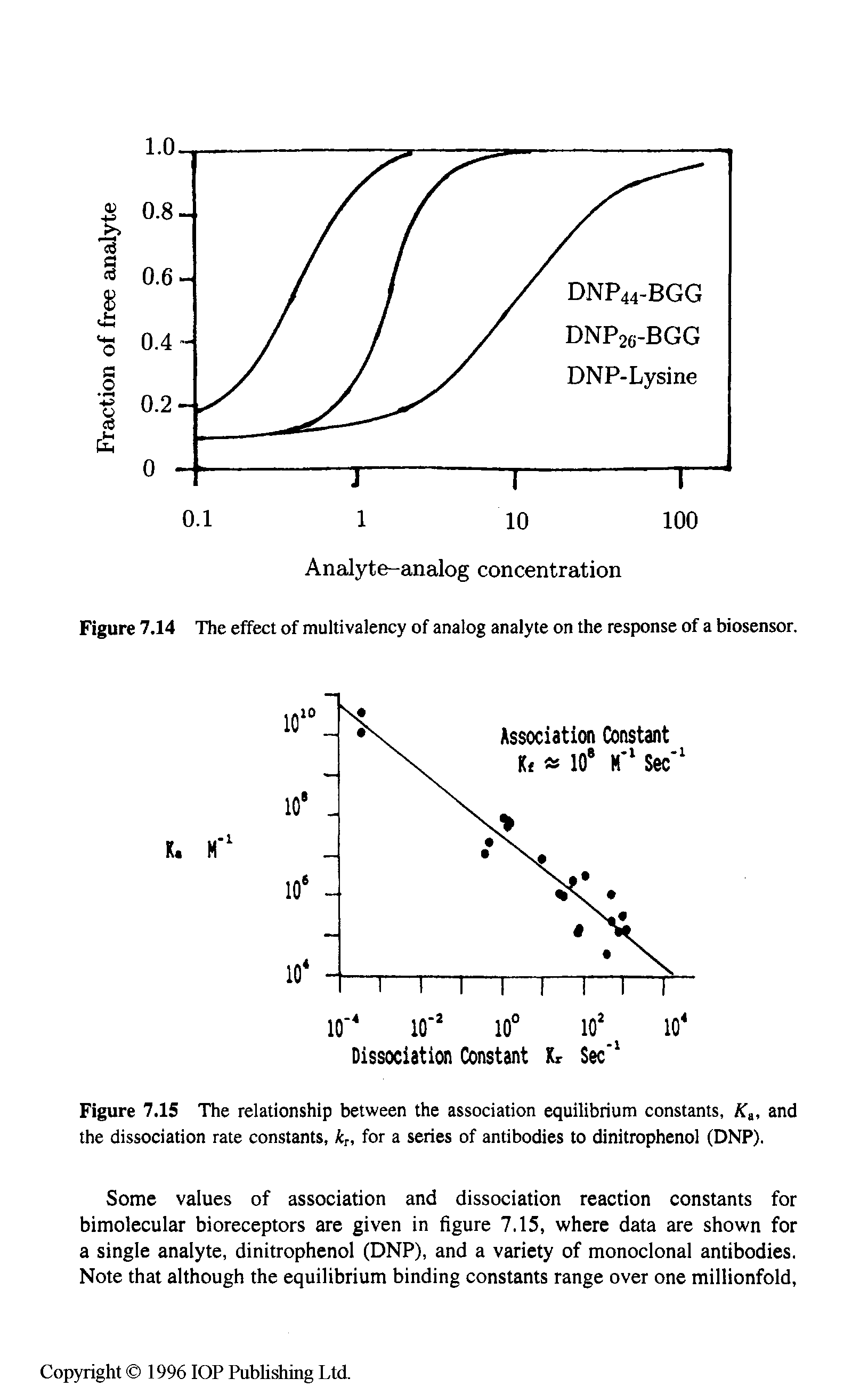 Figure 7.15 The relationship between the association equilibrium constants, K, and the dissociation rate constants, kr, for a series of antibodies to dinitrophenol (DNP).