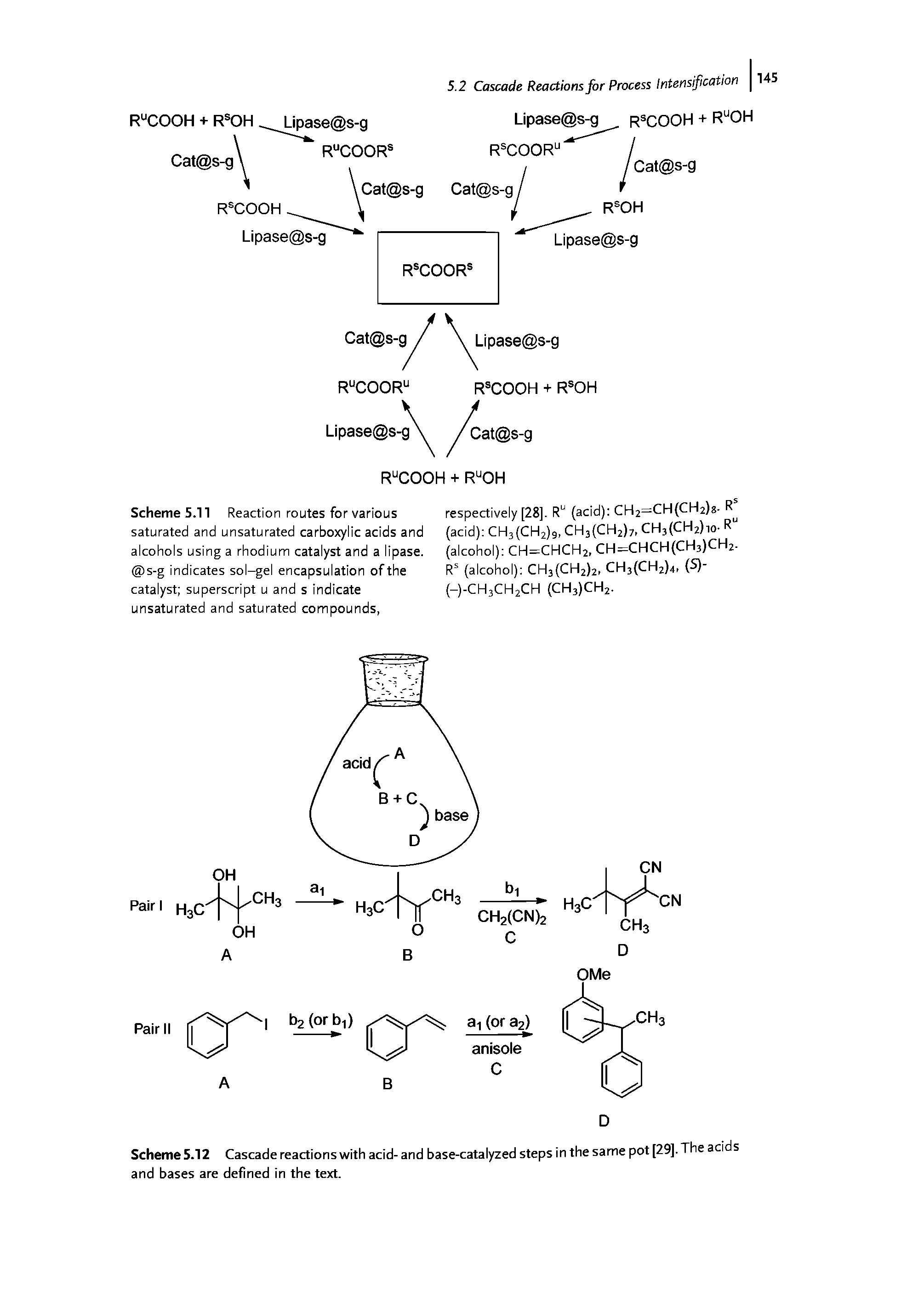 Scheme 5.11 Reaction routes for various saturated and unsaturated carboxylic acids and alcohols using a rhodium catalyst and a lipase. s-g indicates sol-gel encapsulation of the catalyst superscript u and s indicate unsaturated and saturated compounds,...