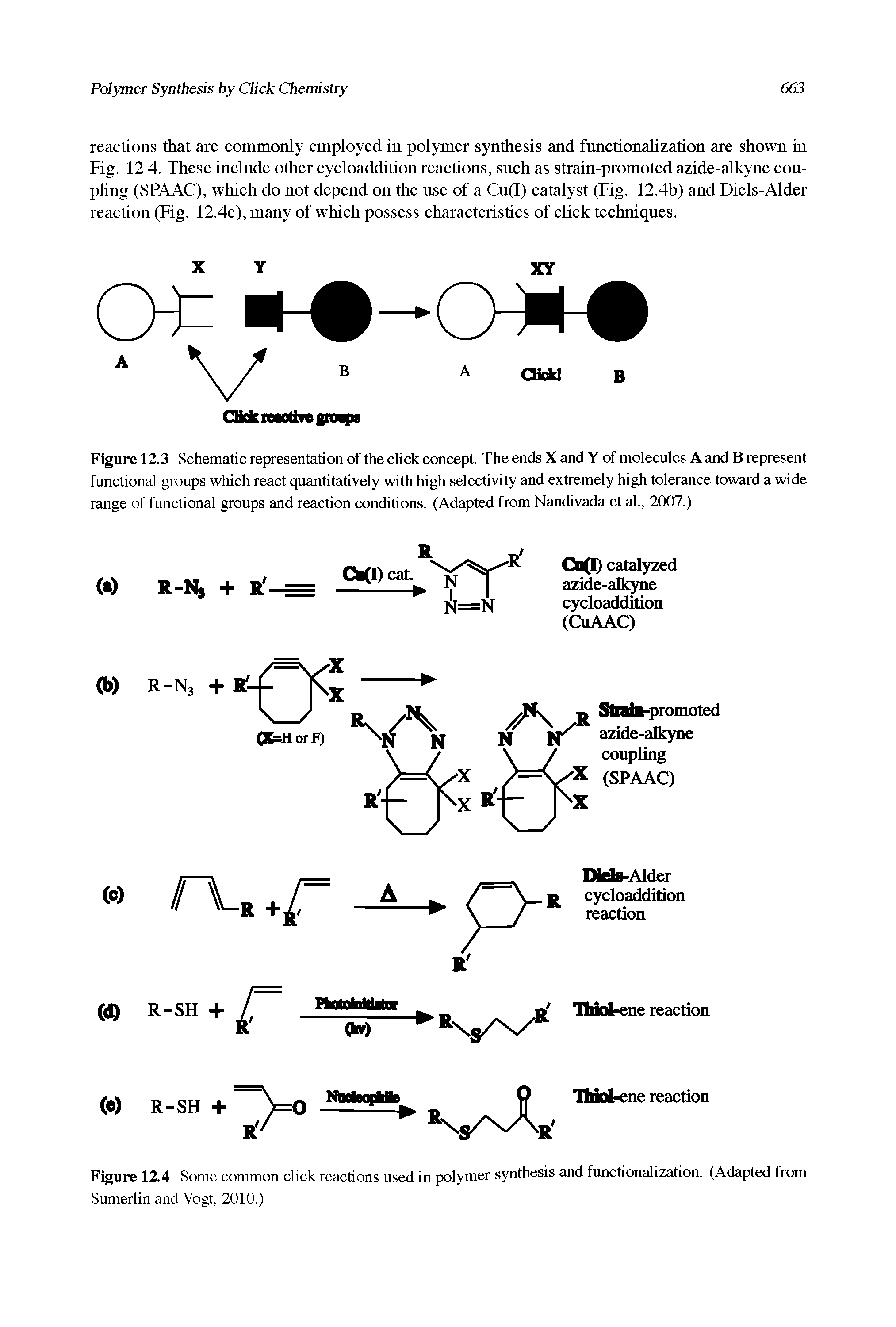 Figure 12.4 Some common click reactions used in polymer synthesis and functionalization. (Adapted from Sumerlin and Vogt, 2010.)...