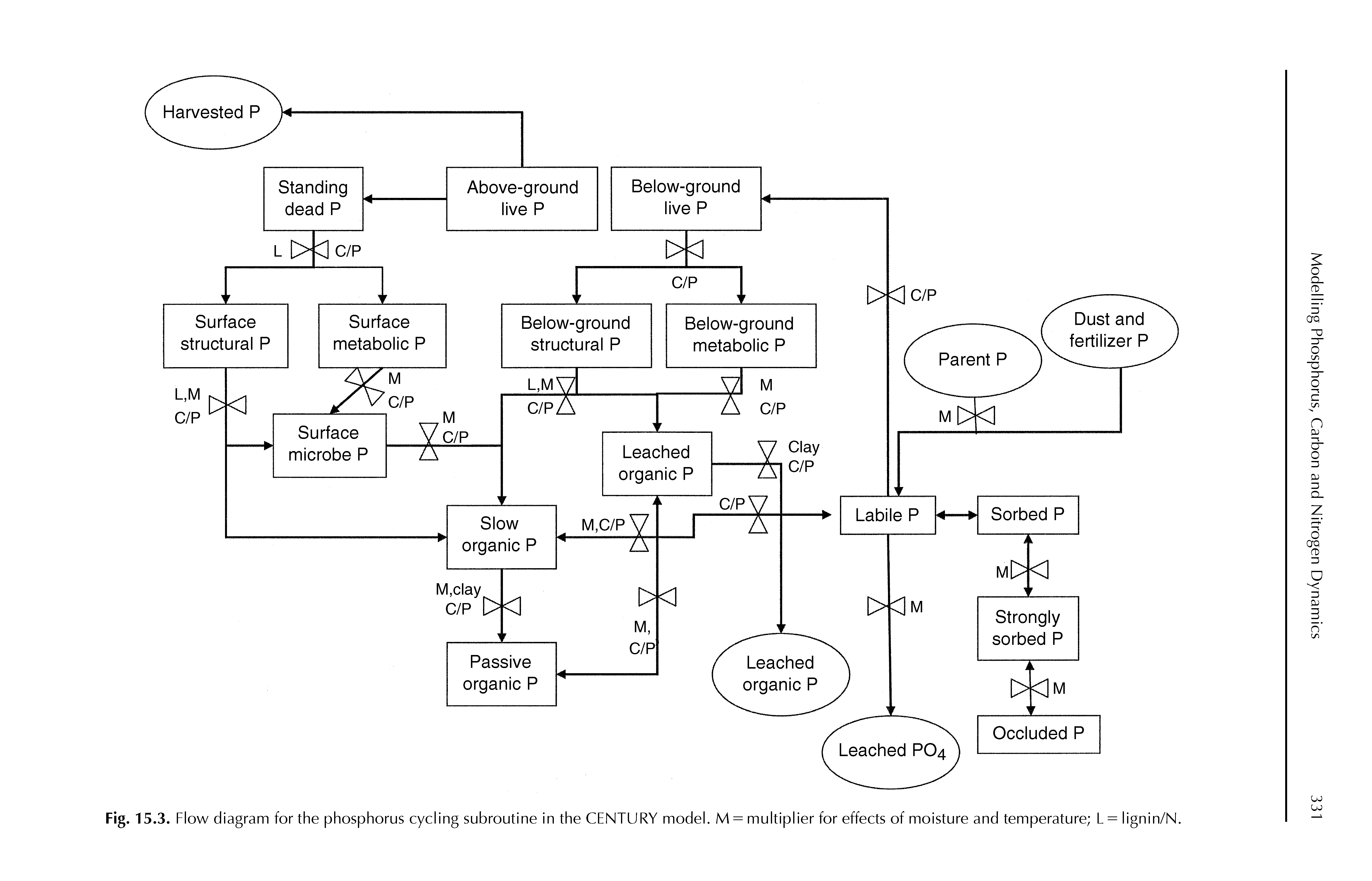 Fig. 15.3. Flow diagram for the phosphorus cycling subroutine in the CENTURY model. M = multiplier for effects of moisture and temperature L = lignin/N.