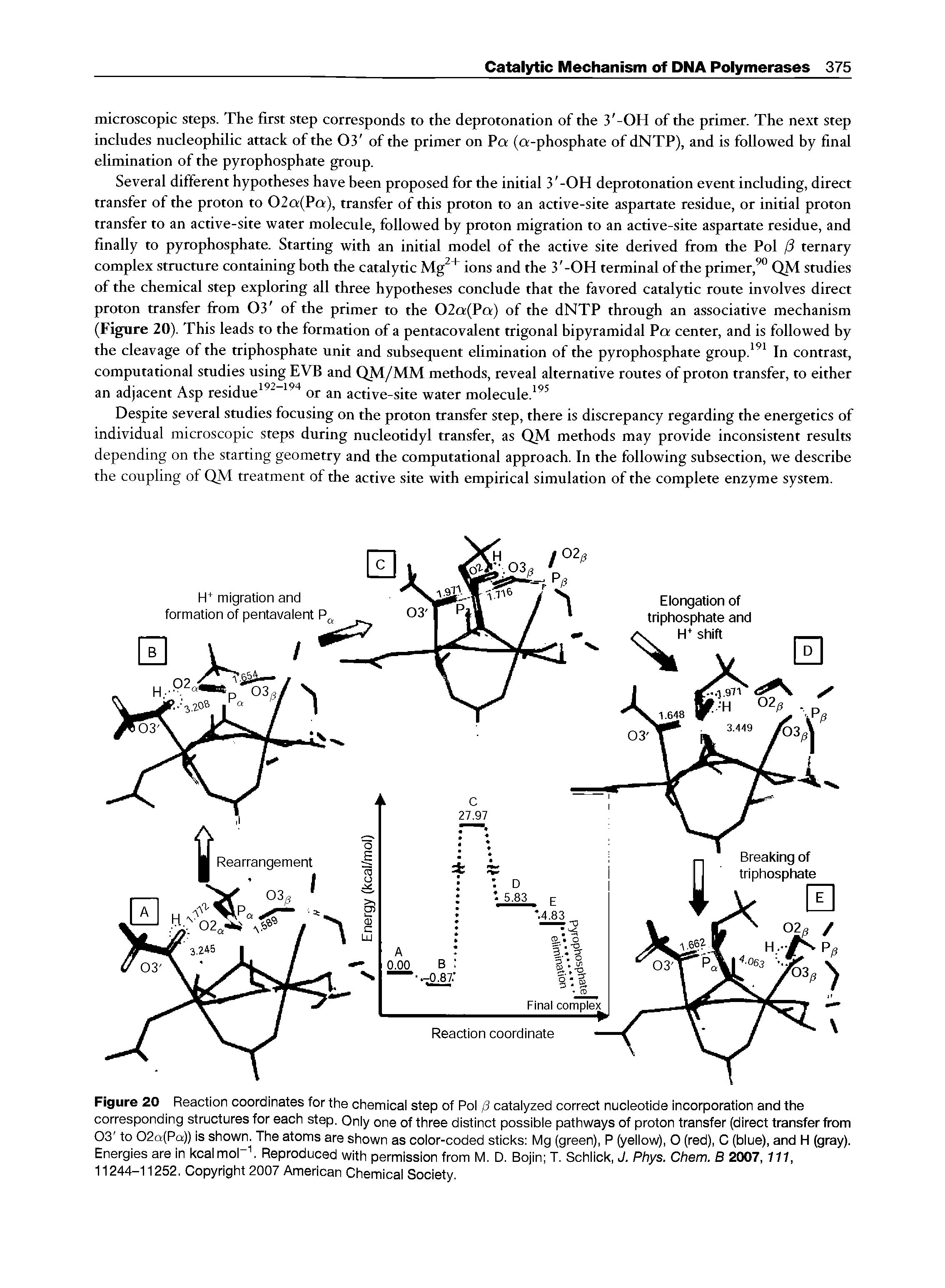 Figure 20 Reaction coordinates for the chemicai step of Poi /3 cataiyzed correct nucieotide incorporation and the corresponding structures for each step. Oniy one of three distinct possibie pathways of proton transfer (direct transfer from 03 to 02a(Pa)) is shown. The atoms are shown as coior-coded sticks Mg (green), P (yeiiow), O (red), C (biue), and H (gray). Energies are in kcaimoi Reproduced with permission from M. D. Bojin T. Schiick, J. Phys. Chem. B 2007, 111, 11244-11252. Copyright 2007 American Chemicai Society.