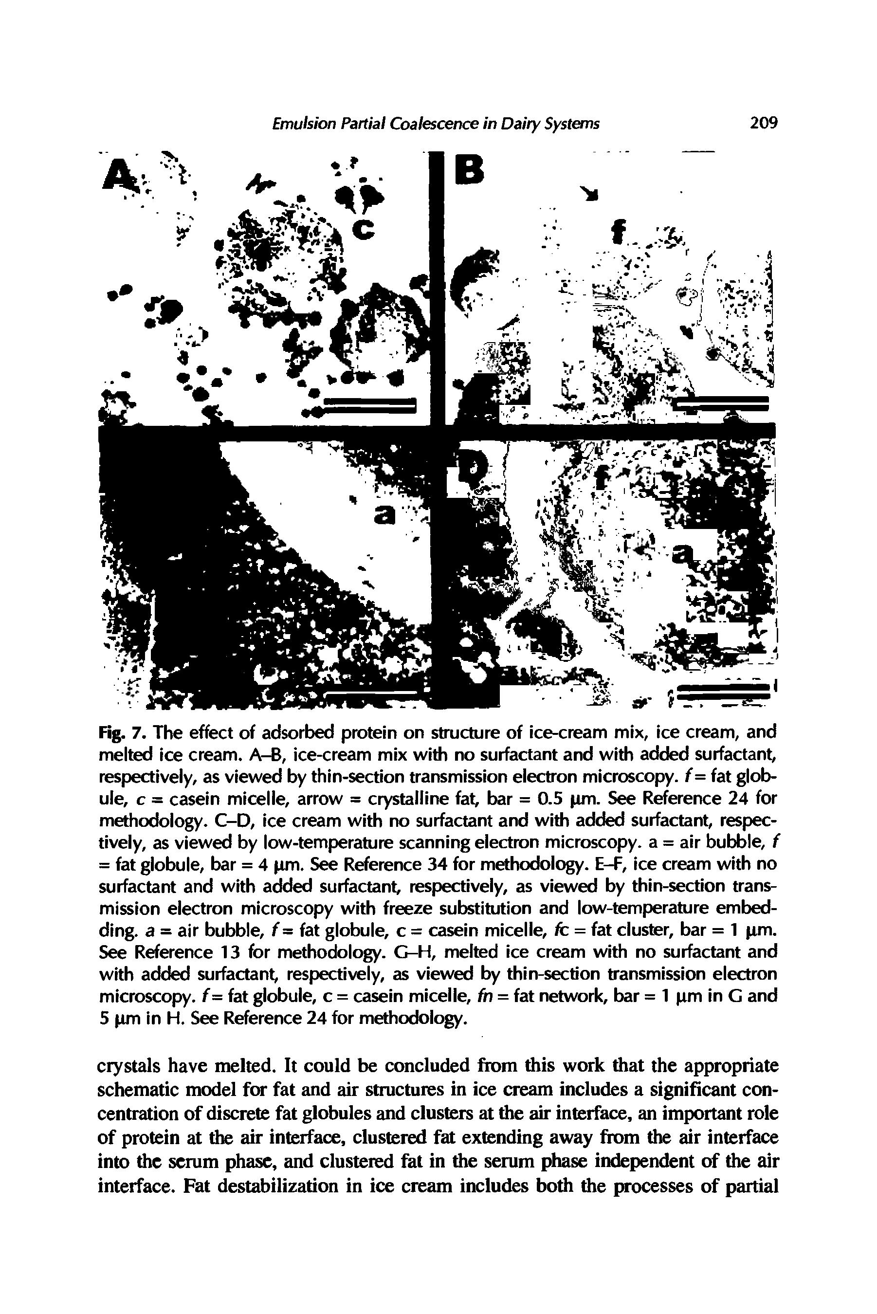 Fig. 7. The effect of adsorbed protein on structure of ice-cream mix, ice cream, and melted ice cream. A-B, ice-cream mix with no surfactant and with added surfactant, respectively, as viewed by thin-section transmission electron microscopy. f= fat globule, c = casein micelle, arrow = crystalline fat, bar = 0.5 pm. See Reference 24 for methodology. C-D, ice cream with no surfactant and with added surfactant, respectively, as viewed by low-temperature scanning electron microscopy, a = air bubble, f = fat globule, bar = 4 pm. See Reference 34 for methodology. E-F, ice cream with no surfactant and with added surfactant respectively, as viewed by thin-section transmission electron microscopy with freeze substitution and low-temperature embedding. a = air bubble, f= fat globule, c = casein micelle, fc = fat cluster, bar = 1 pm. See Reference 13 for methodology. G-H, melted ice cream with no surfactant and with added surfactant respectively, as viewed by thin-section transmission electron microscopy. f= fat globule, c = casein micelle, fn = fat network, bar = 1 pm in G and 5 pm in H. See Reference 24 for methodology.