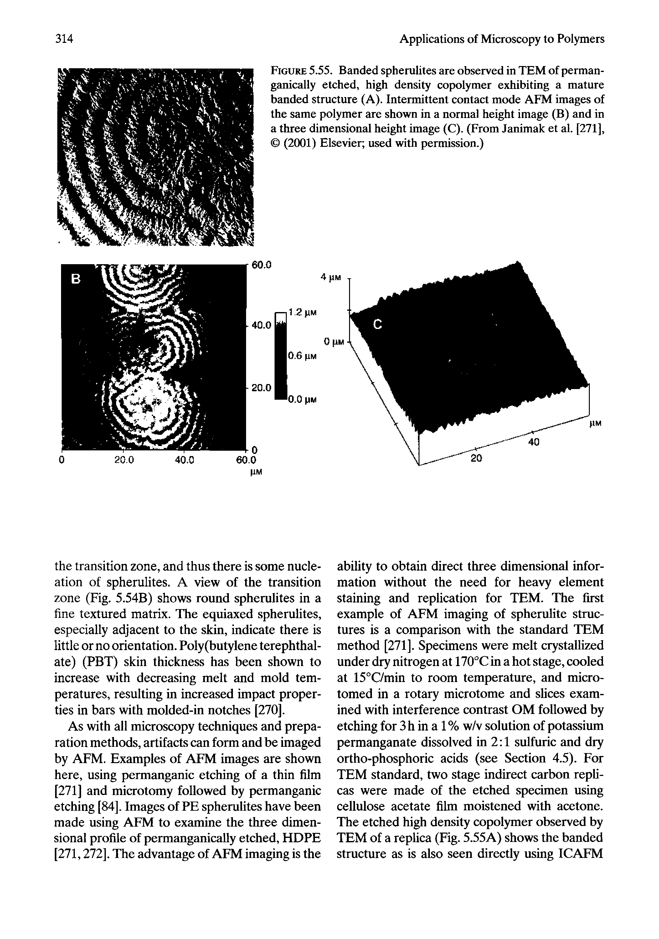Figure 5.55. Banded spherulites are observed in TEM of perman-ganically etched, high density copolymer exhibiting a mature banded structure (A). Intermittent contact mode AFM images of the same polymer are shown in a normal height image (B) and in a three dimensional height image (C). (From Janimak et al. [271], (2001) Elsevier used with permission.)...