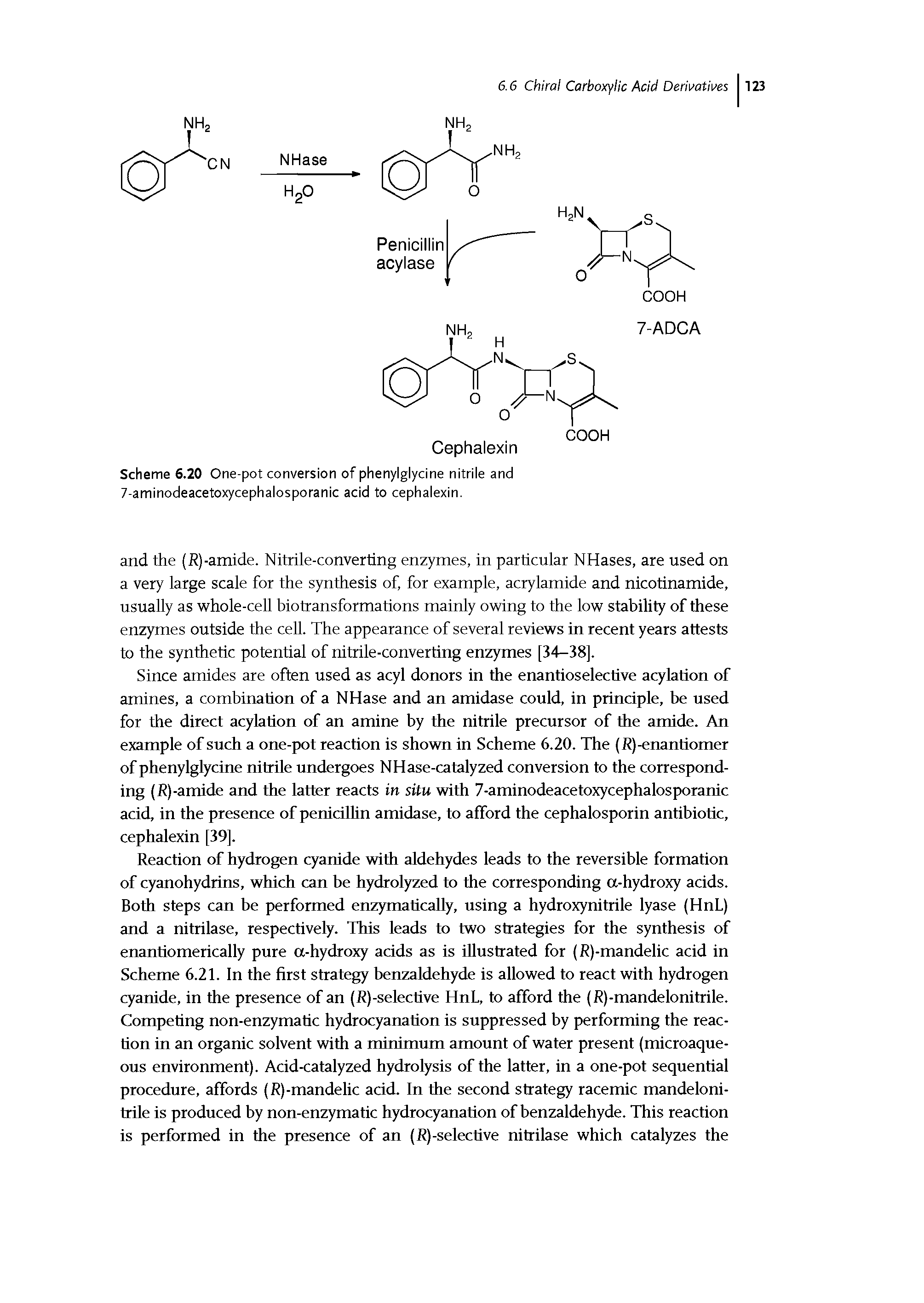 Scheme 6.20 One-pot conversion of phenylglycine nitrile and 7-aminodeacetoxycephalosporanic acid to cephalexin.