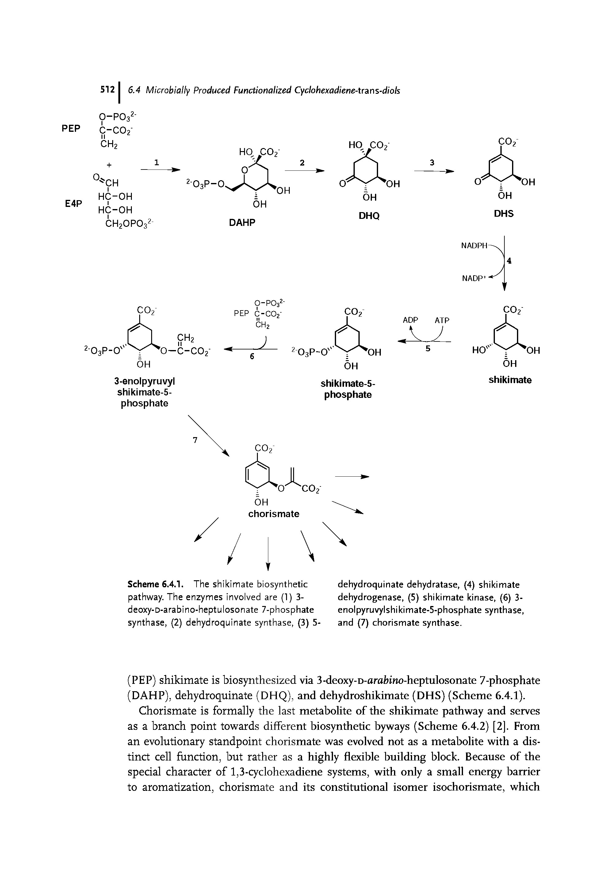 Scheme 6.4.1. The shikimate biosynthetic pathway. The enzymes involved are (1) 3-deoxy-D-arabino-heptulosonate 7-phosphate synthase, (2) dehydroquinate synthase, (3) 5-...