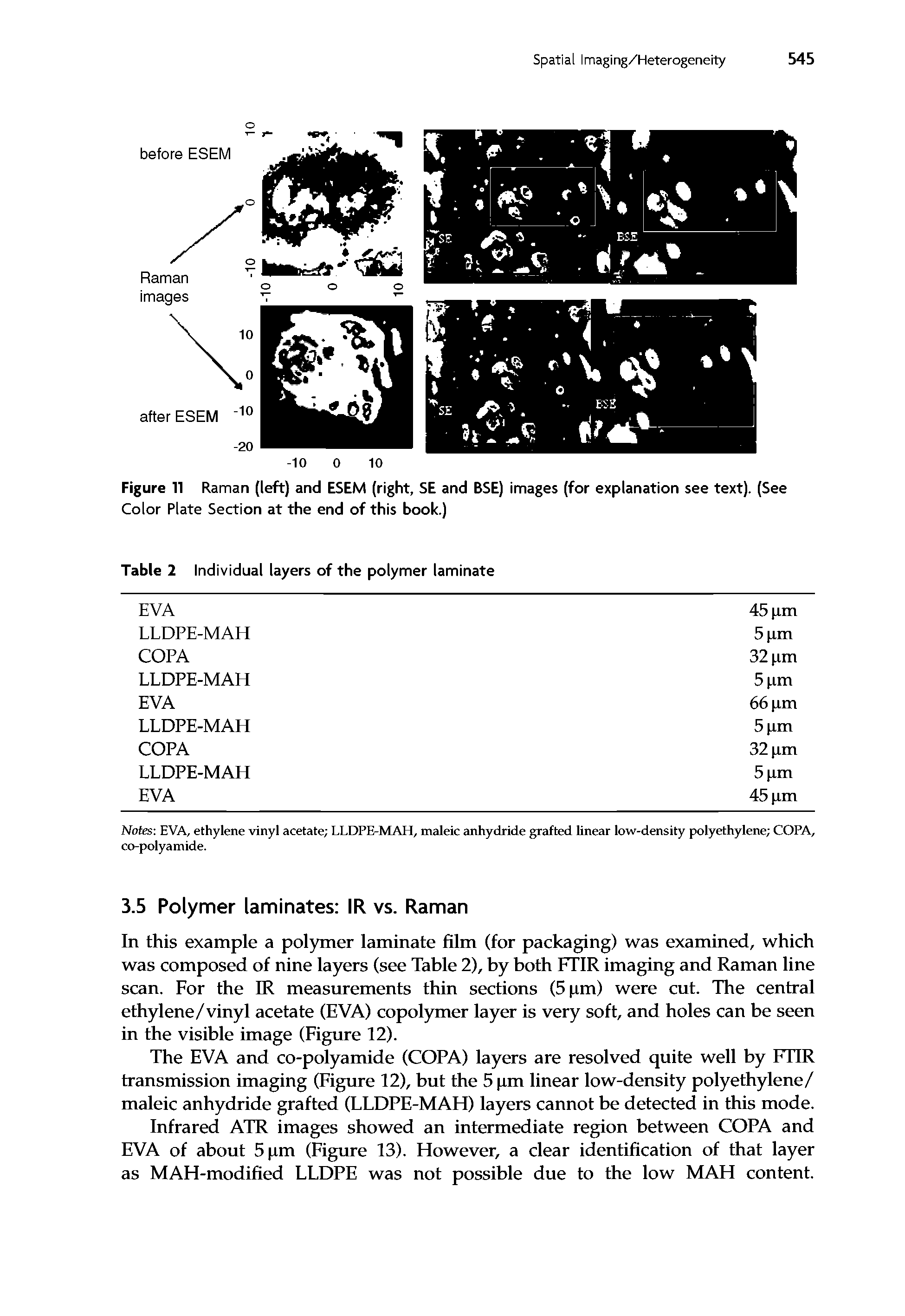 Figure 11 Raman (left) and ESEM (right, SE and BSE) images (for explanation see text). (See Color Plate Section at the end of this book.)...