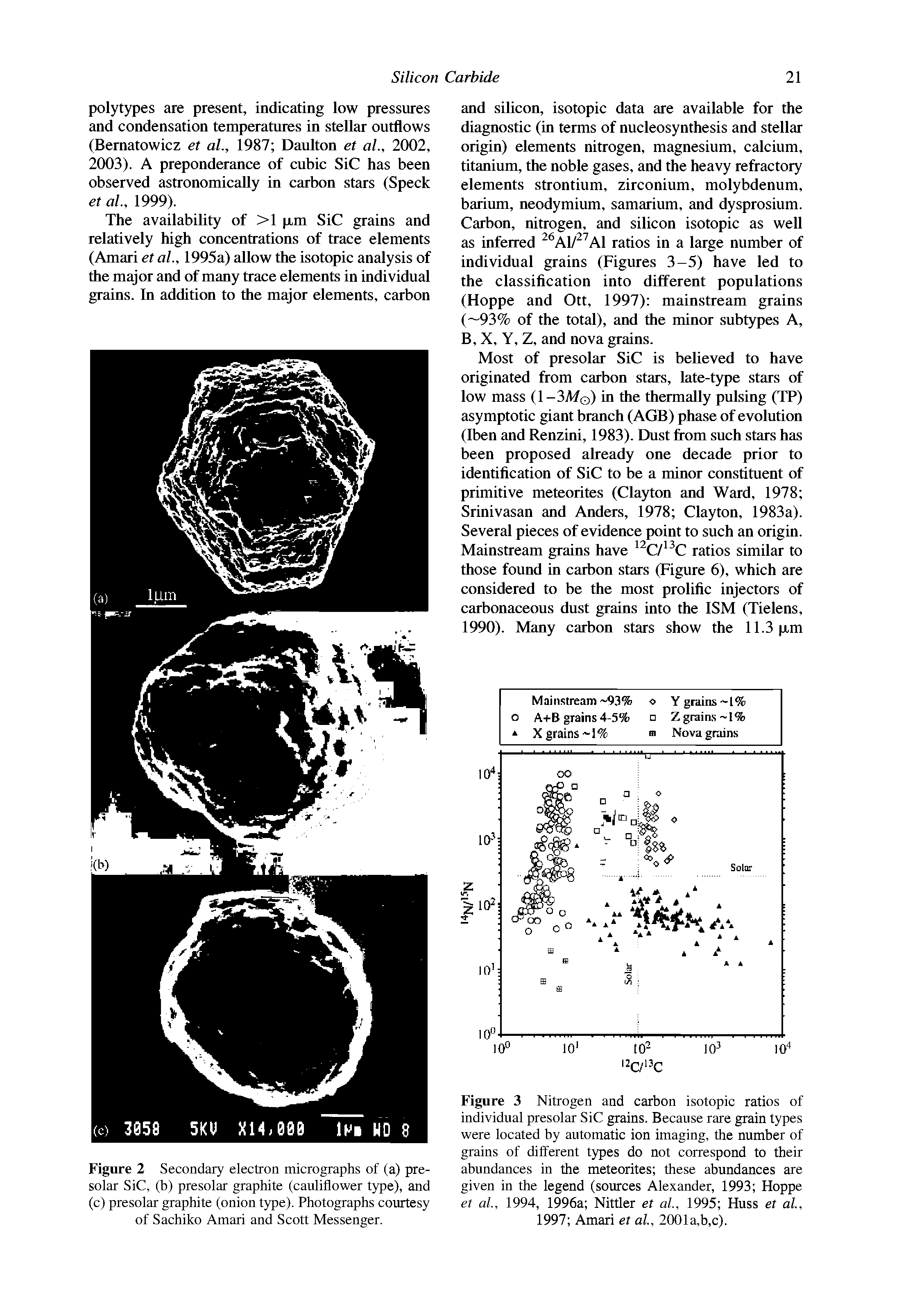 Figure 2 Secondary electron micrographs of (a) presolar Sic, (b) presolar graphite (cauliflower type), and (c) presolar graphite (onion type). Photographs courtesy of Sachiko Amari and Scott Messenger.